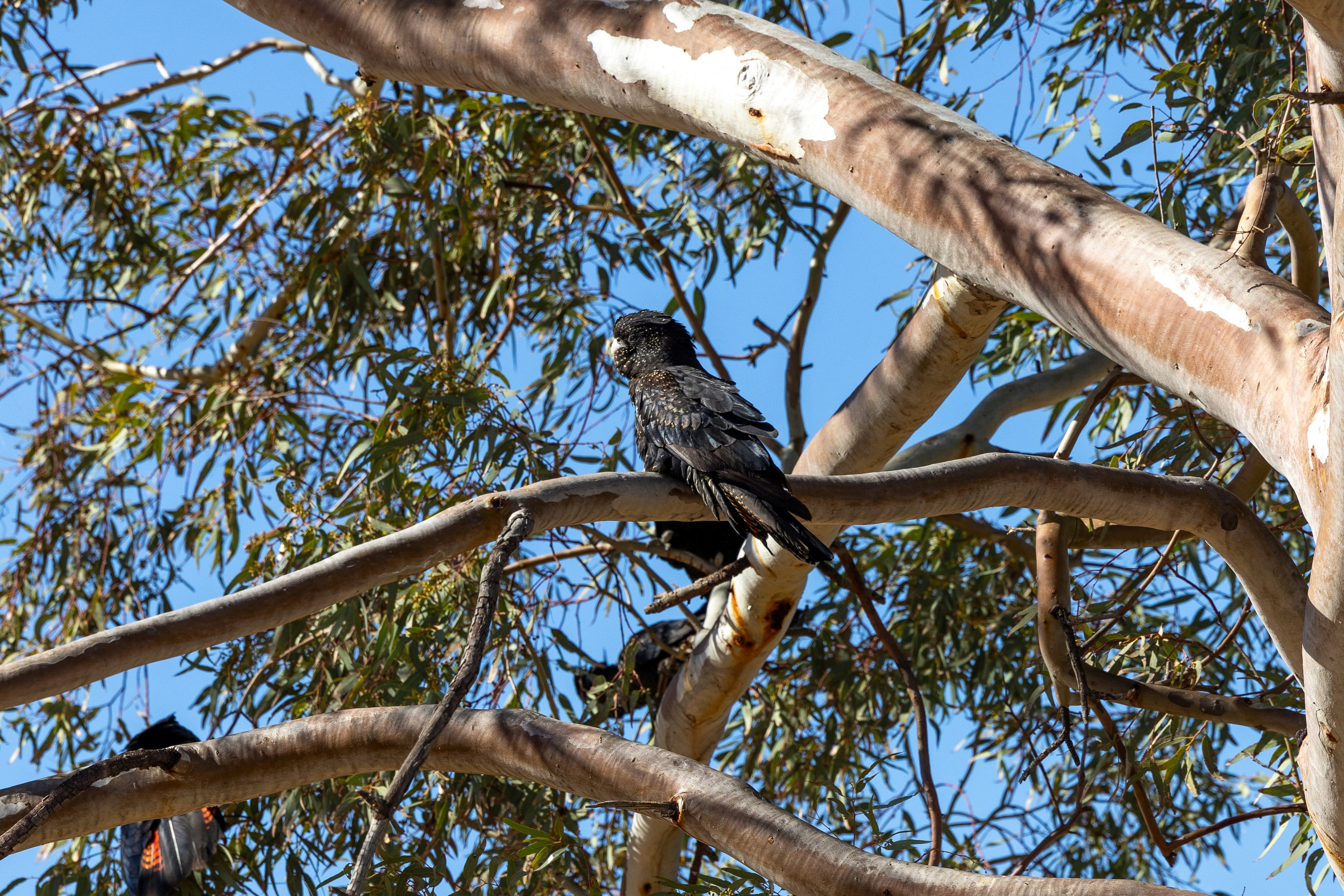 Photo by stephenmabbs