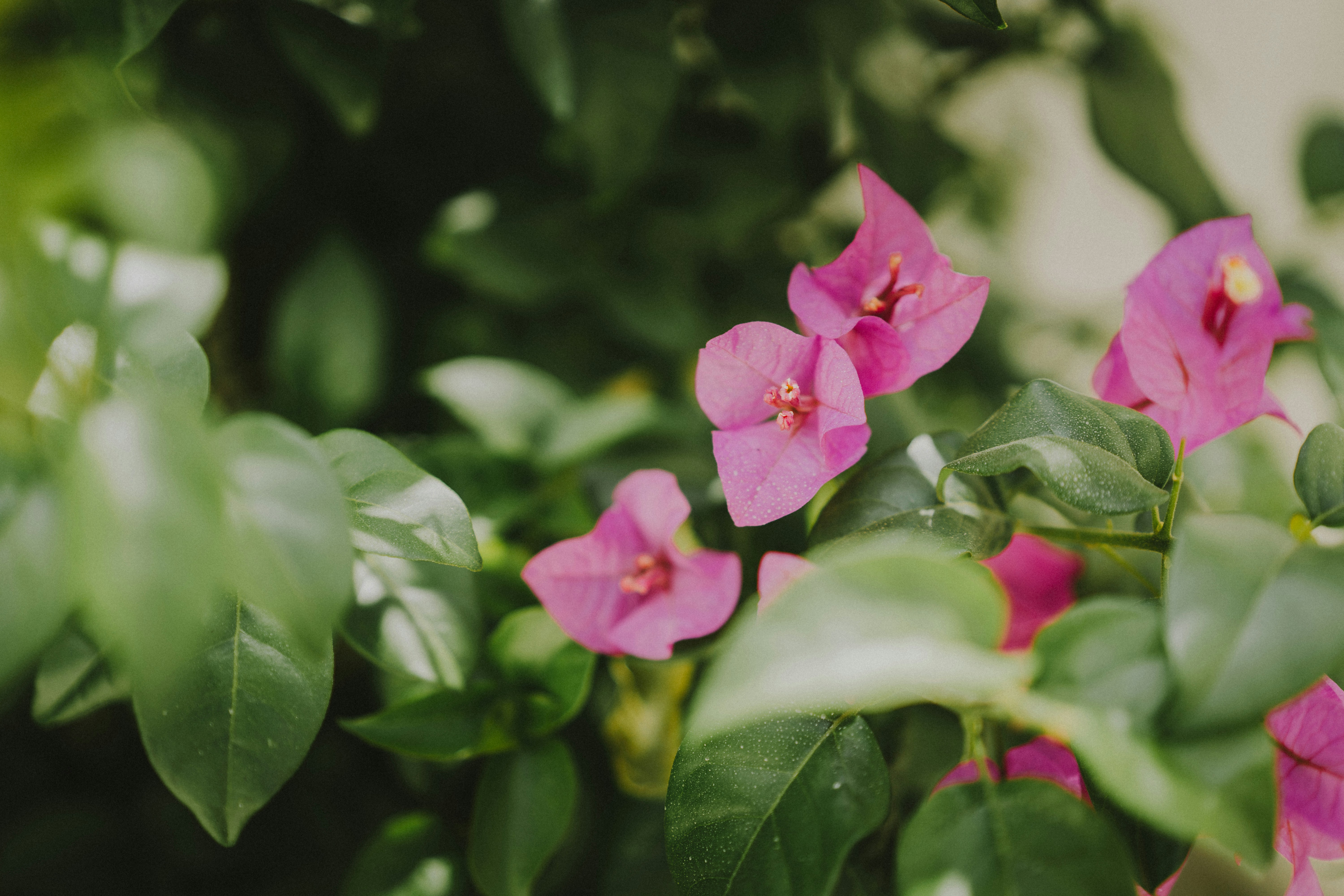 Photo by arturoeg_foto