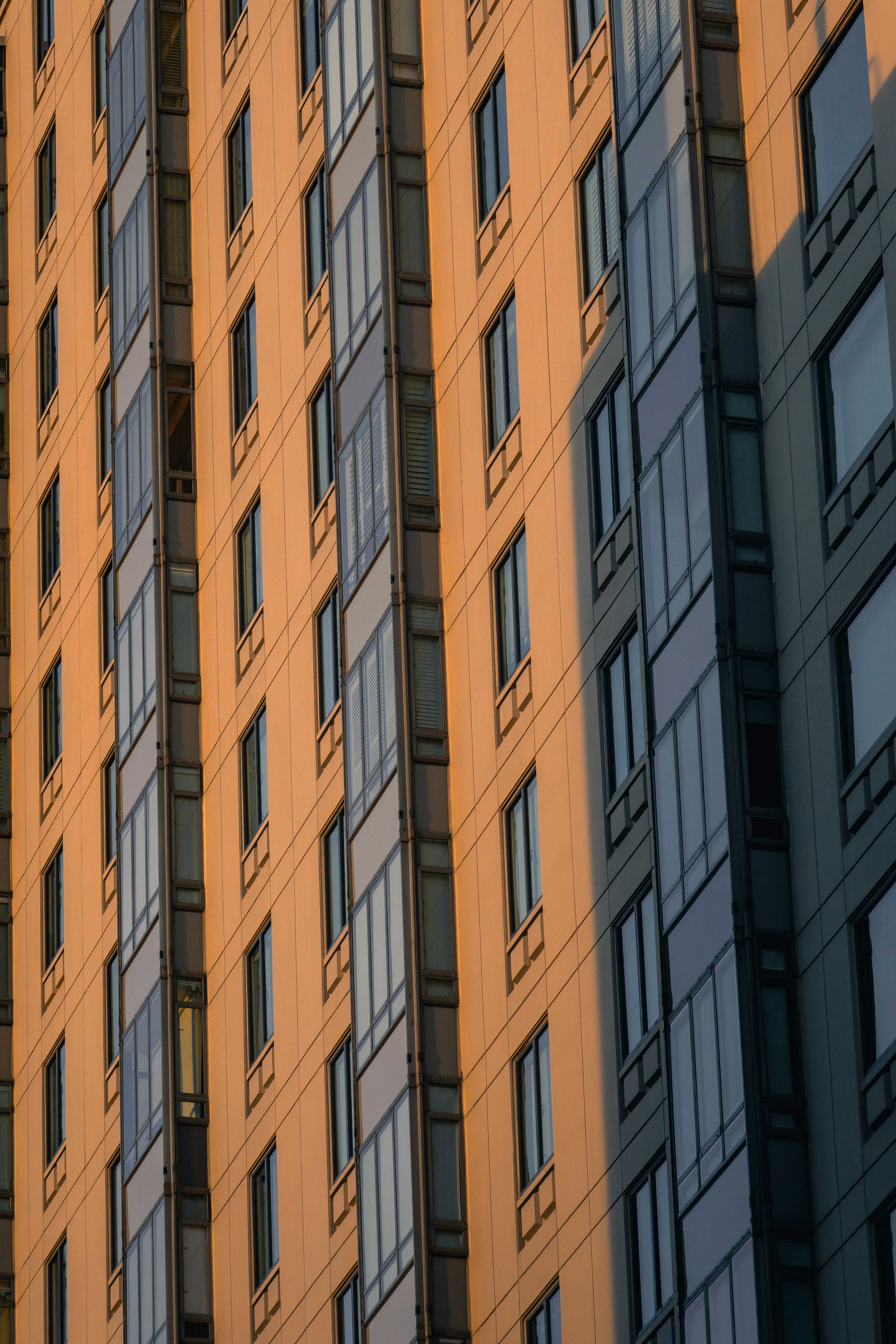 Photo by kalaniparker