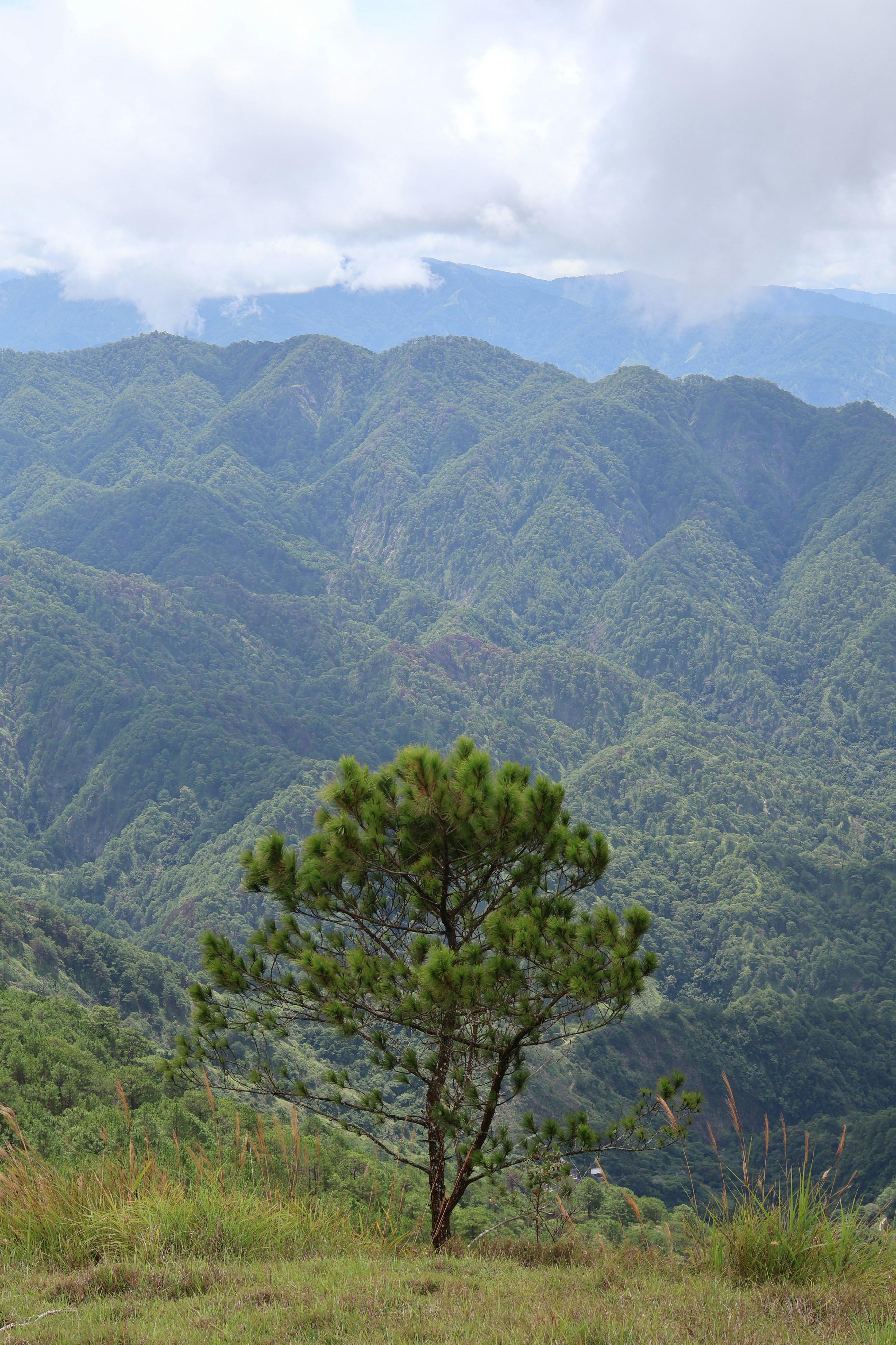 Photo by adrianpaulety