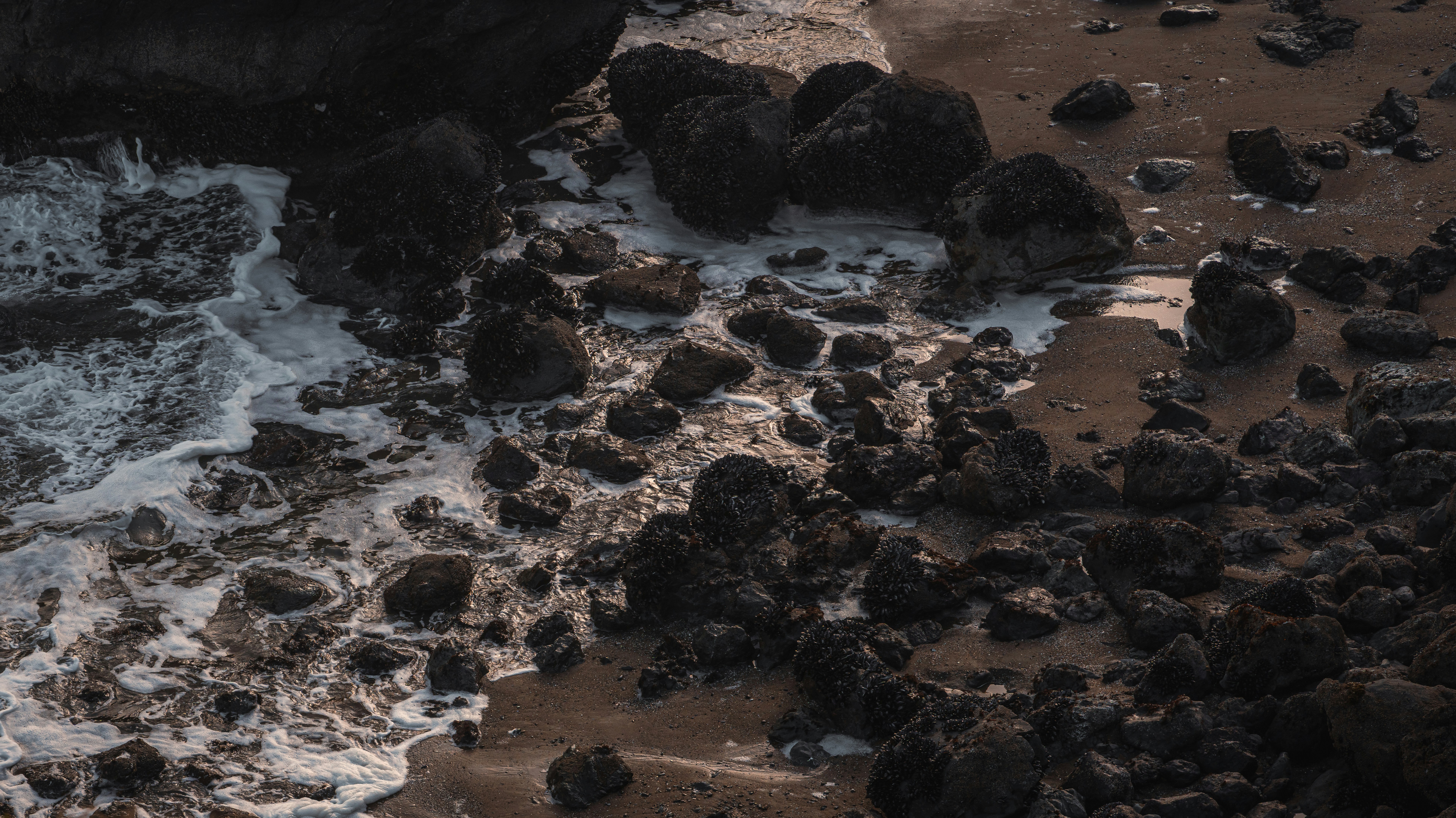 Photo by kalaniparker