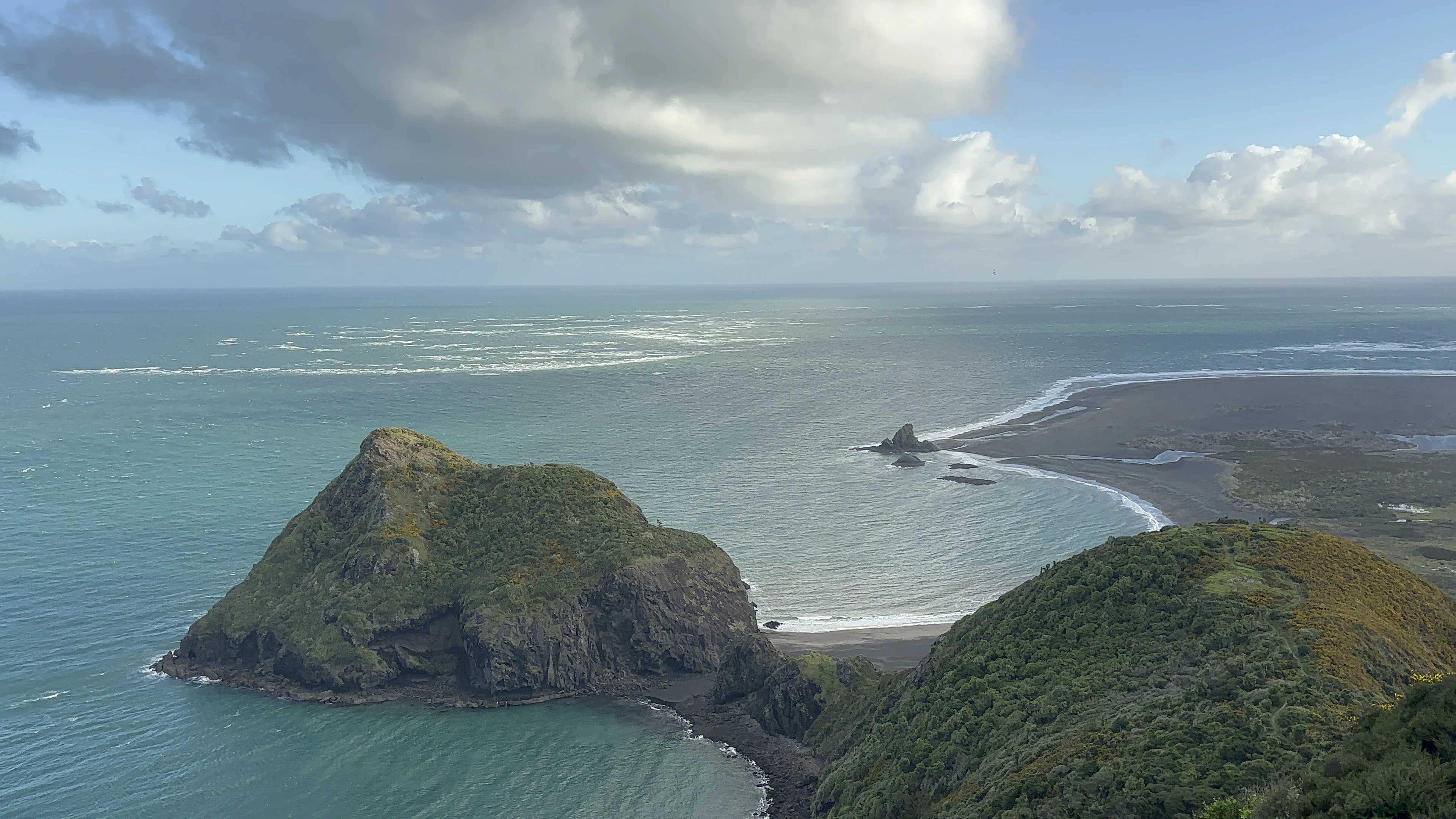 Aerial view of a rugged green headland enclosing a black-sand cove on Auckland's coast.