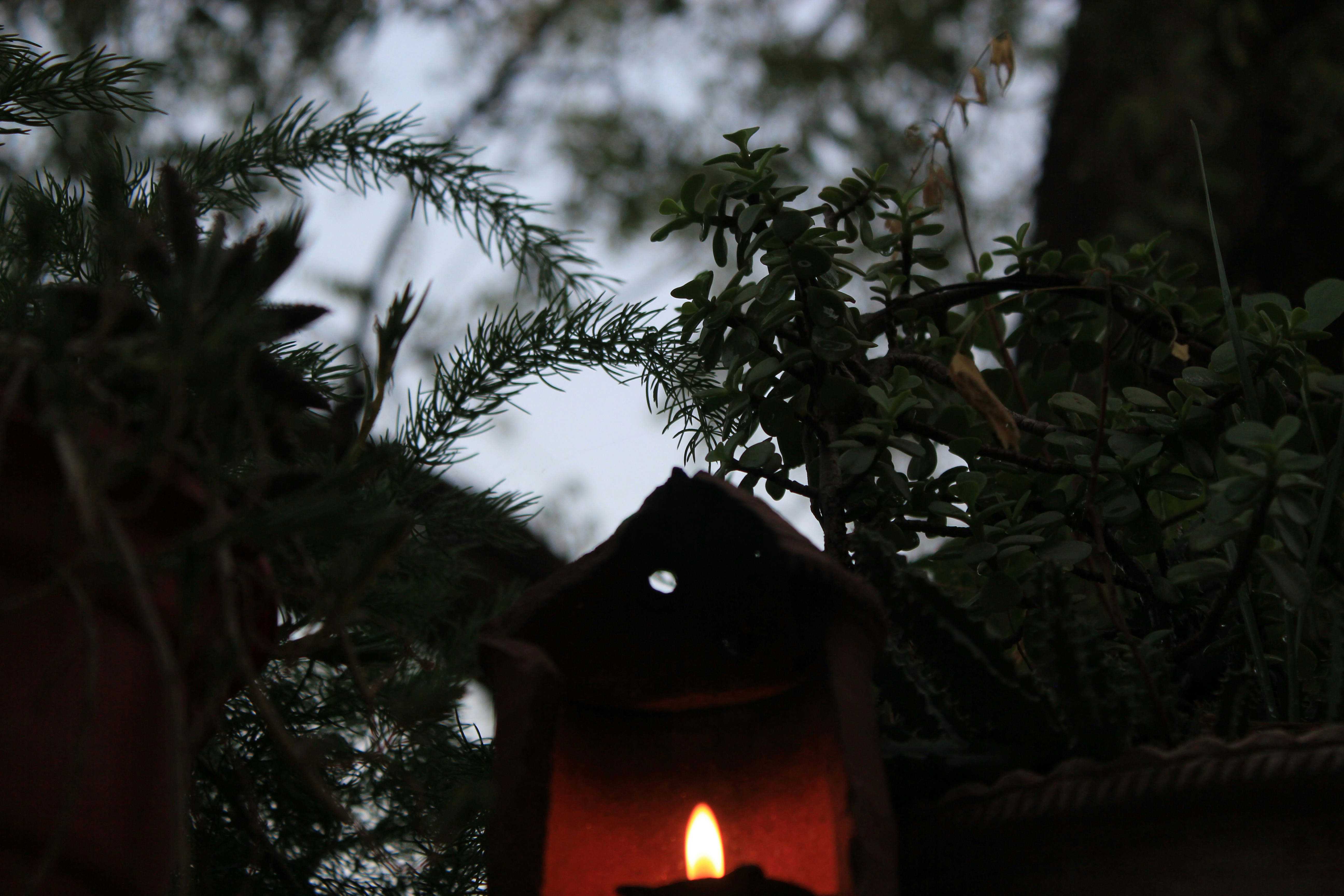 Photo by soham_rajesh