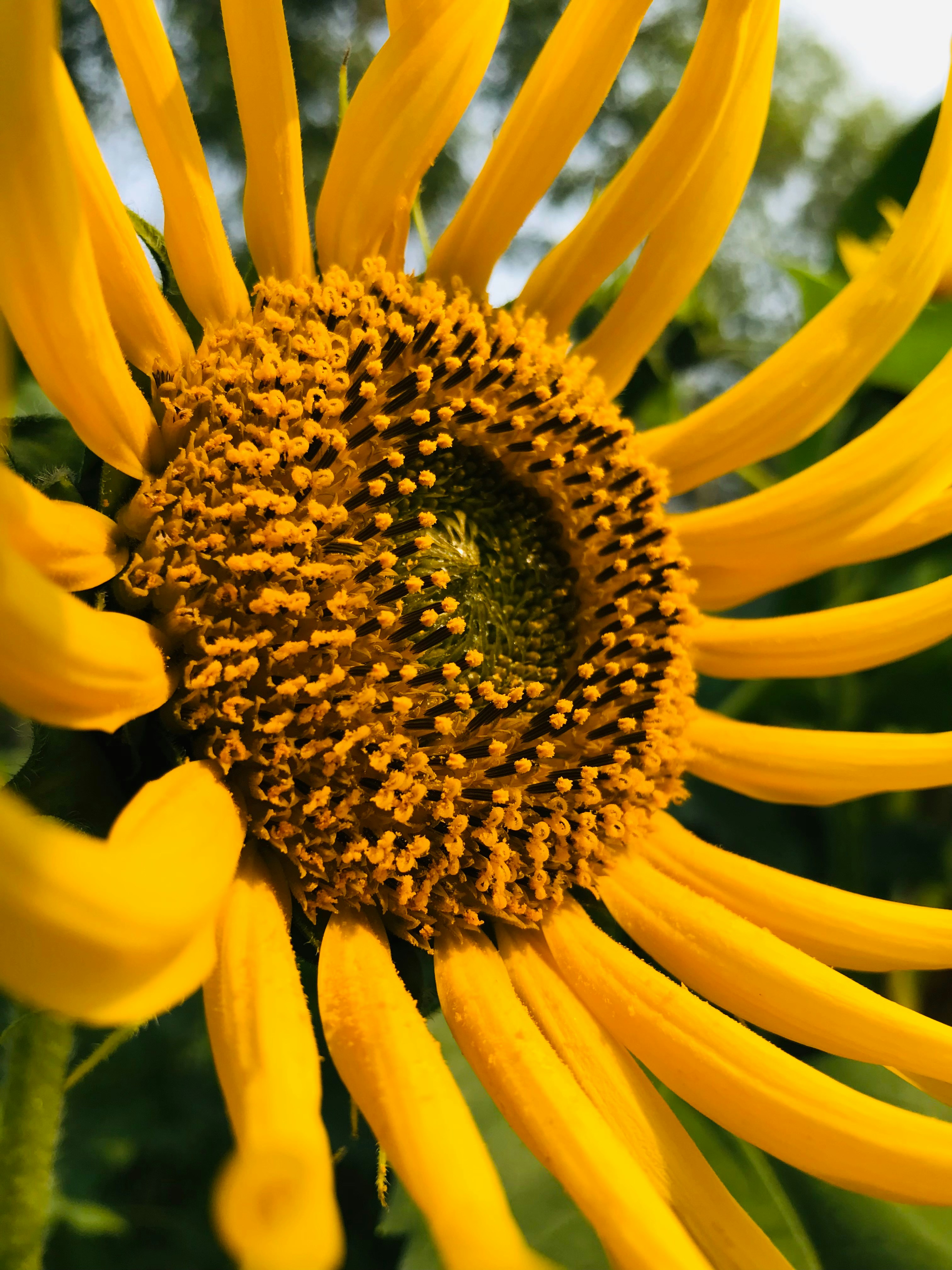 Photo by iamraktim07