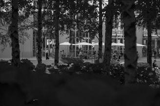 A black and white photo of a building and trees