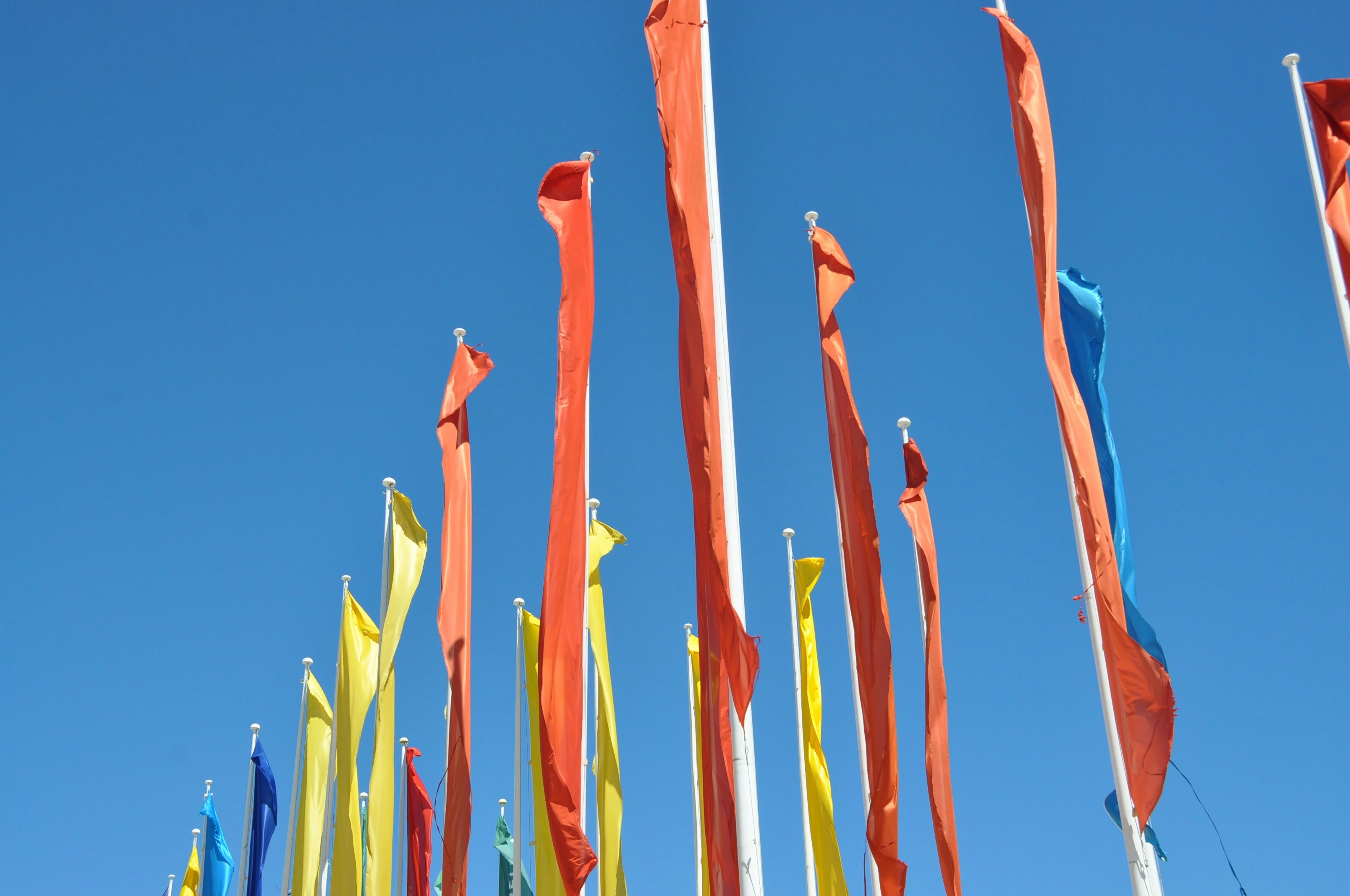 A bunch of flags that are flying in the air