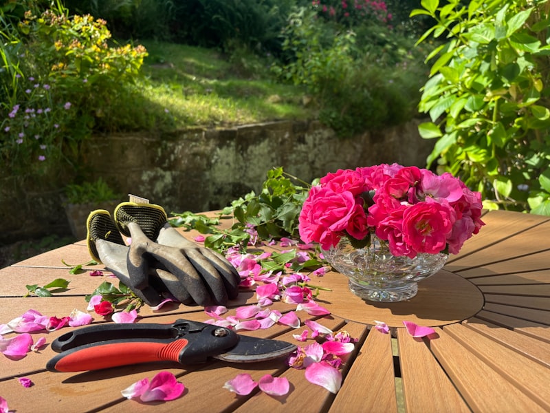 Pruning shears with freshly cut roses on a garden table