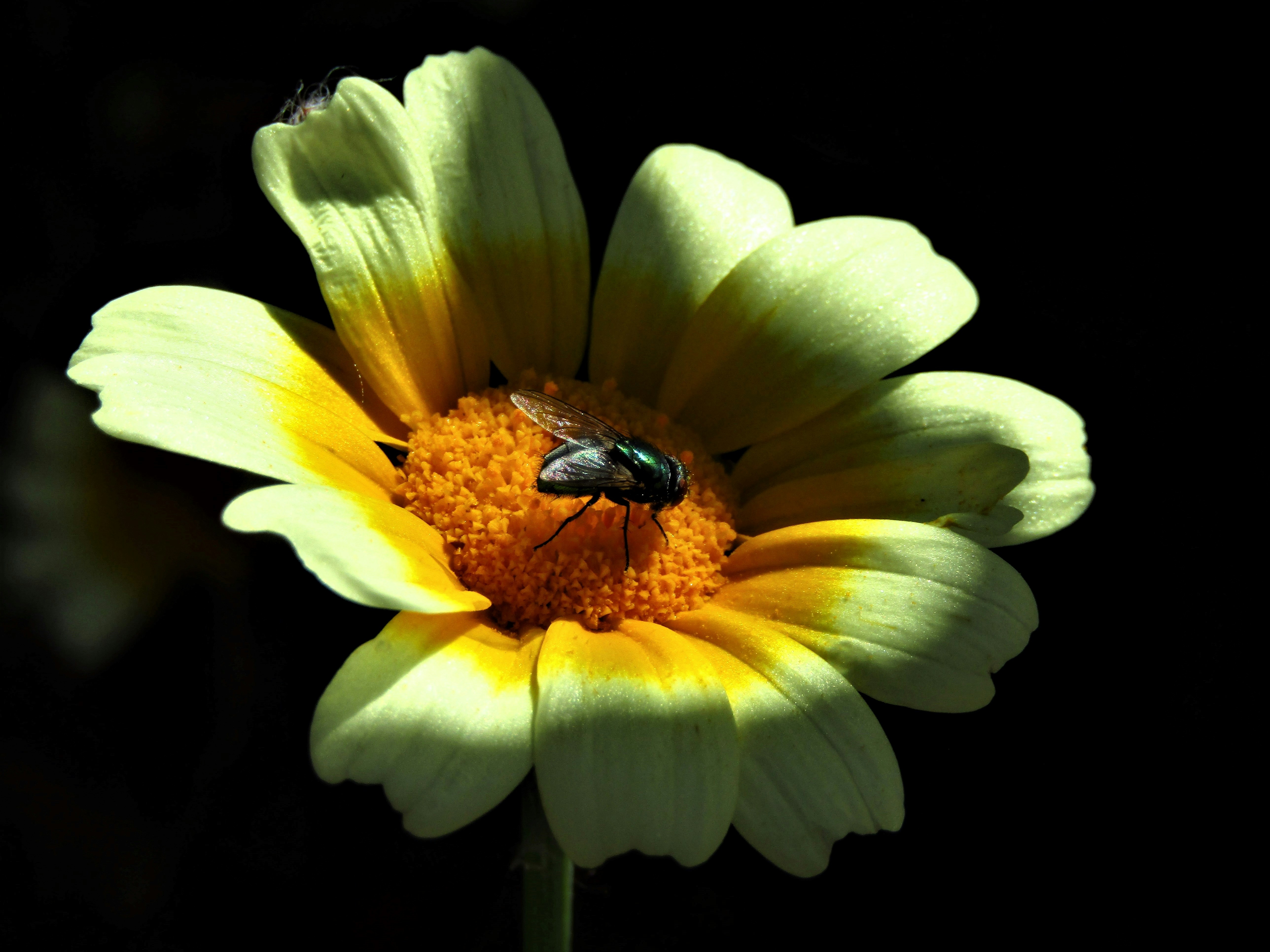 Photo by walkswithmycamera