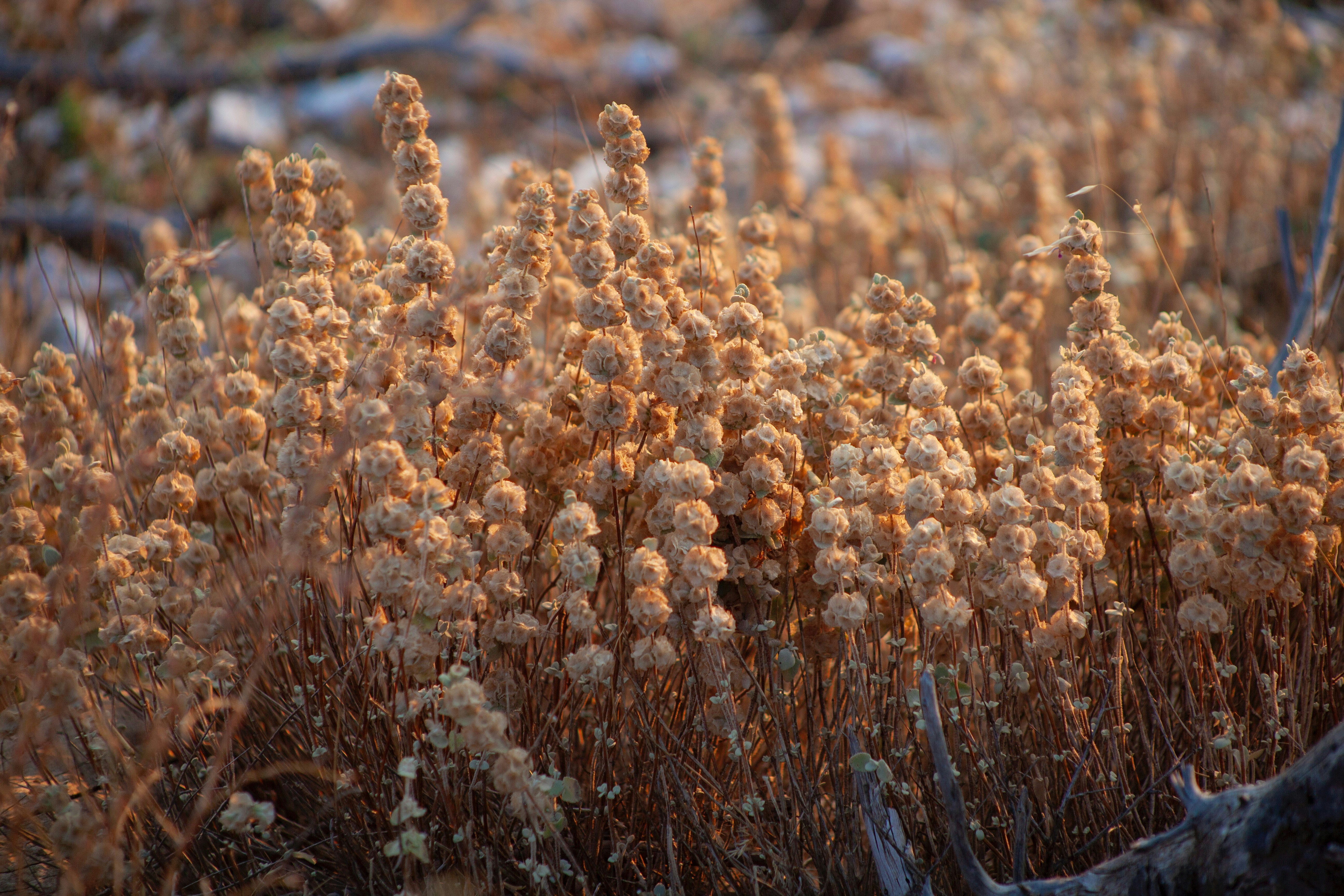 Photo by andrisgangis