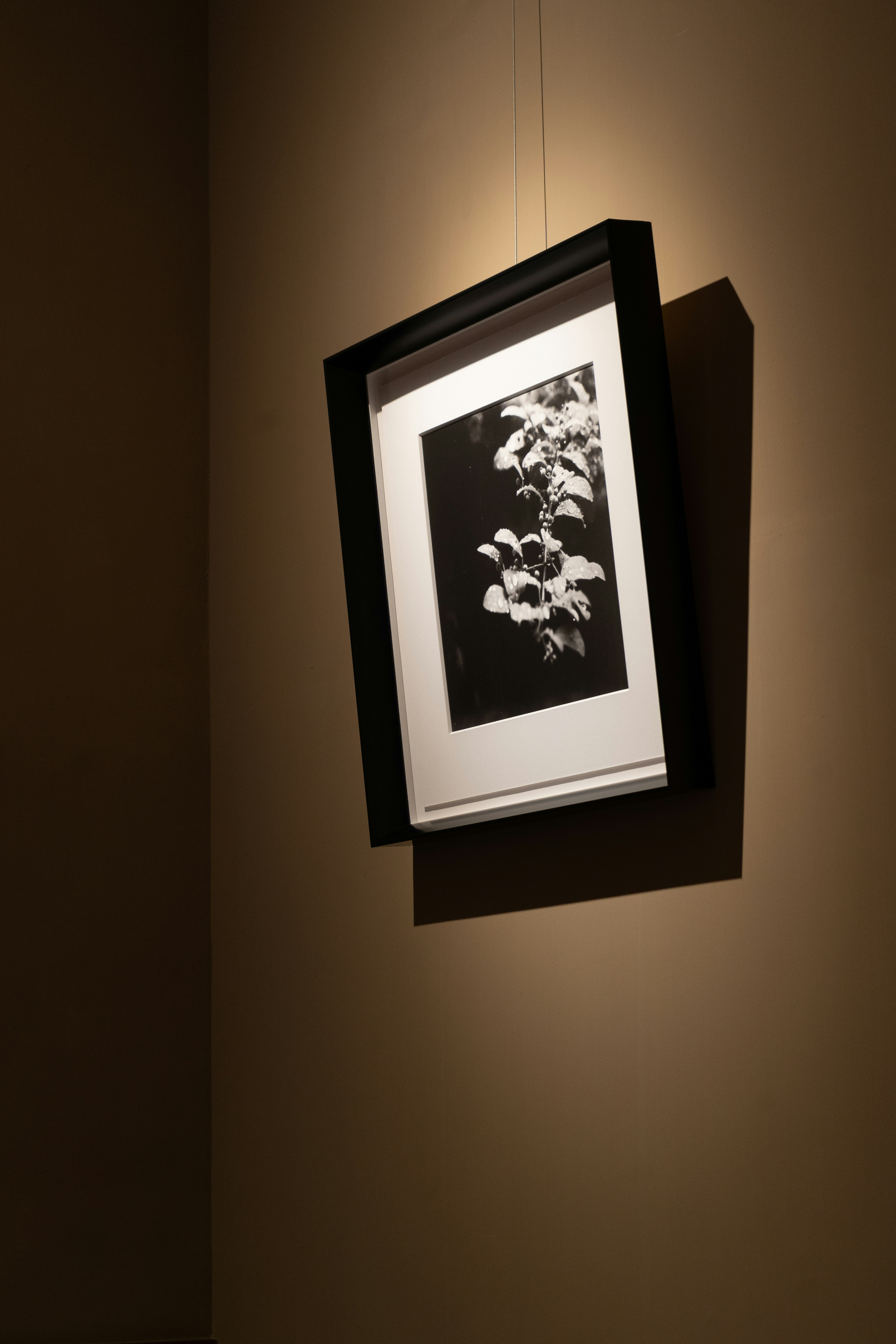 Photo by harrisonchang