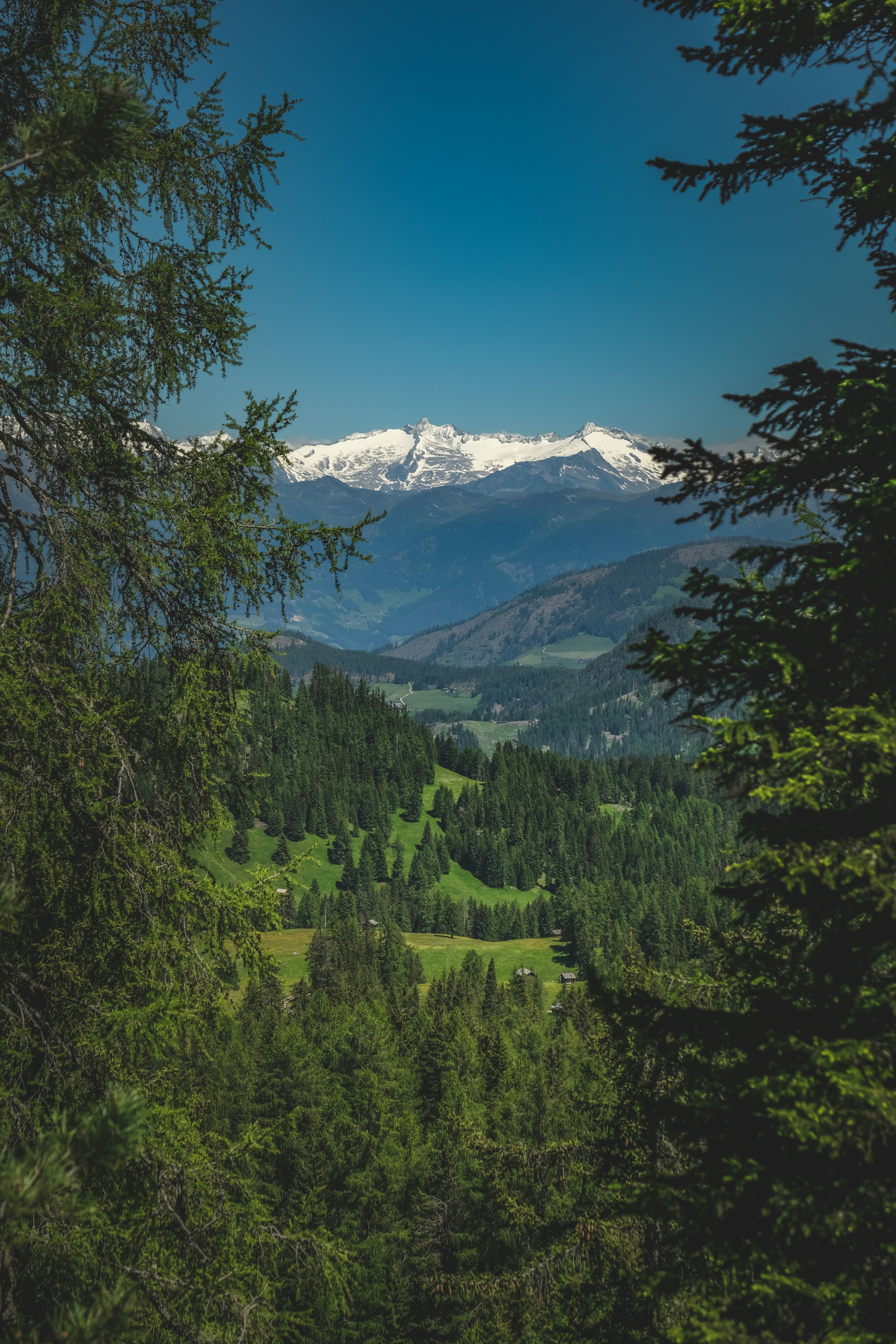 Photo by francesco_ungaro