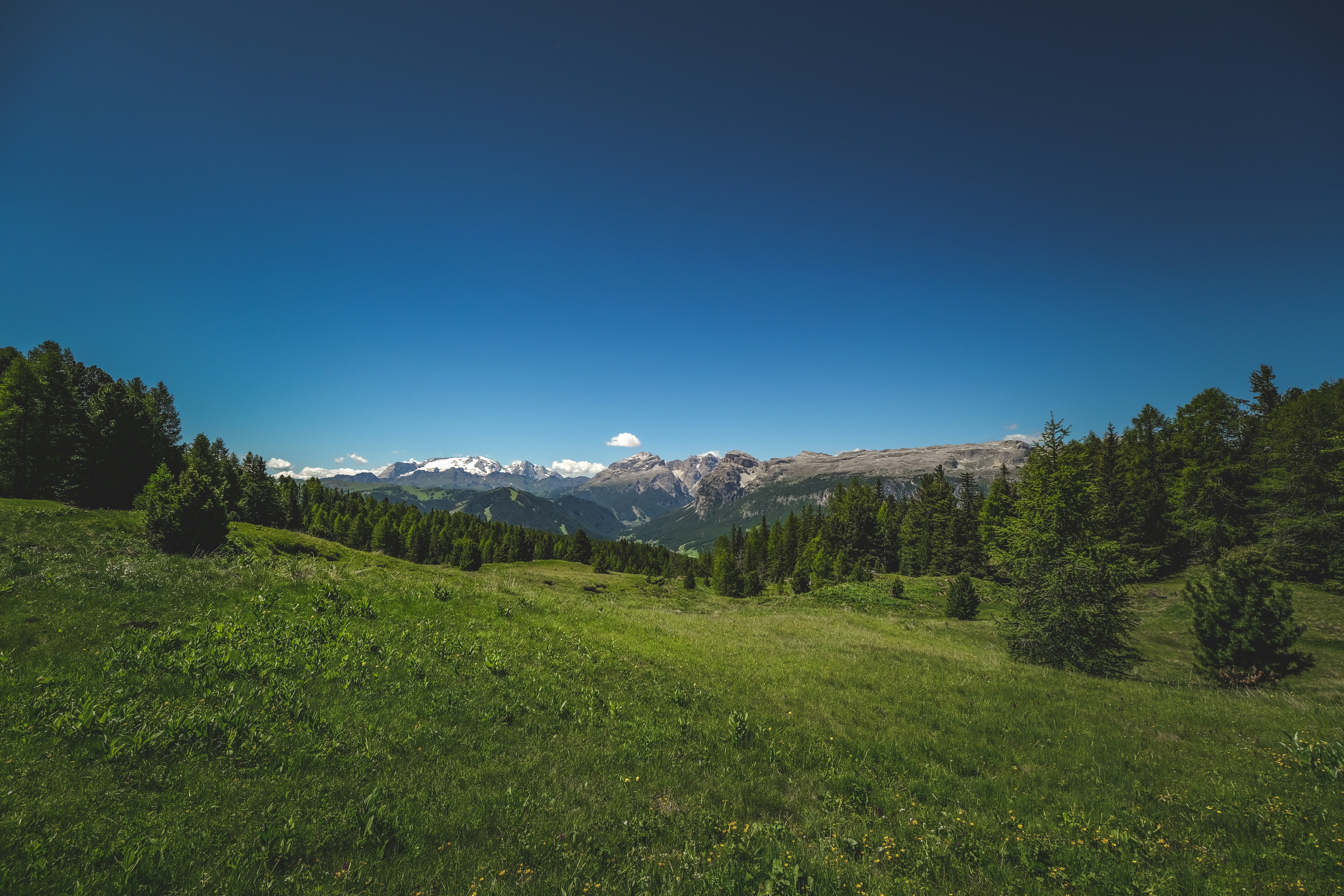 Photo by francesco_ungaro