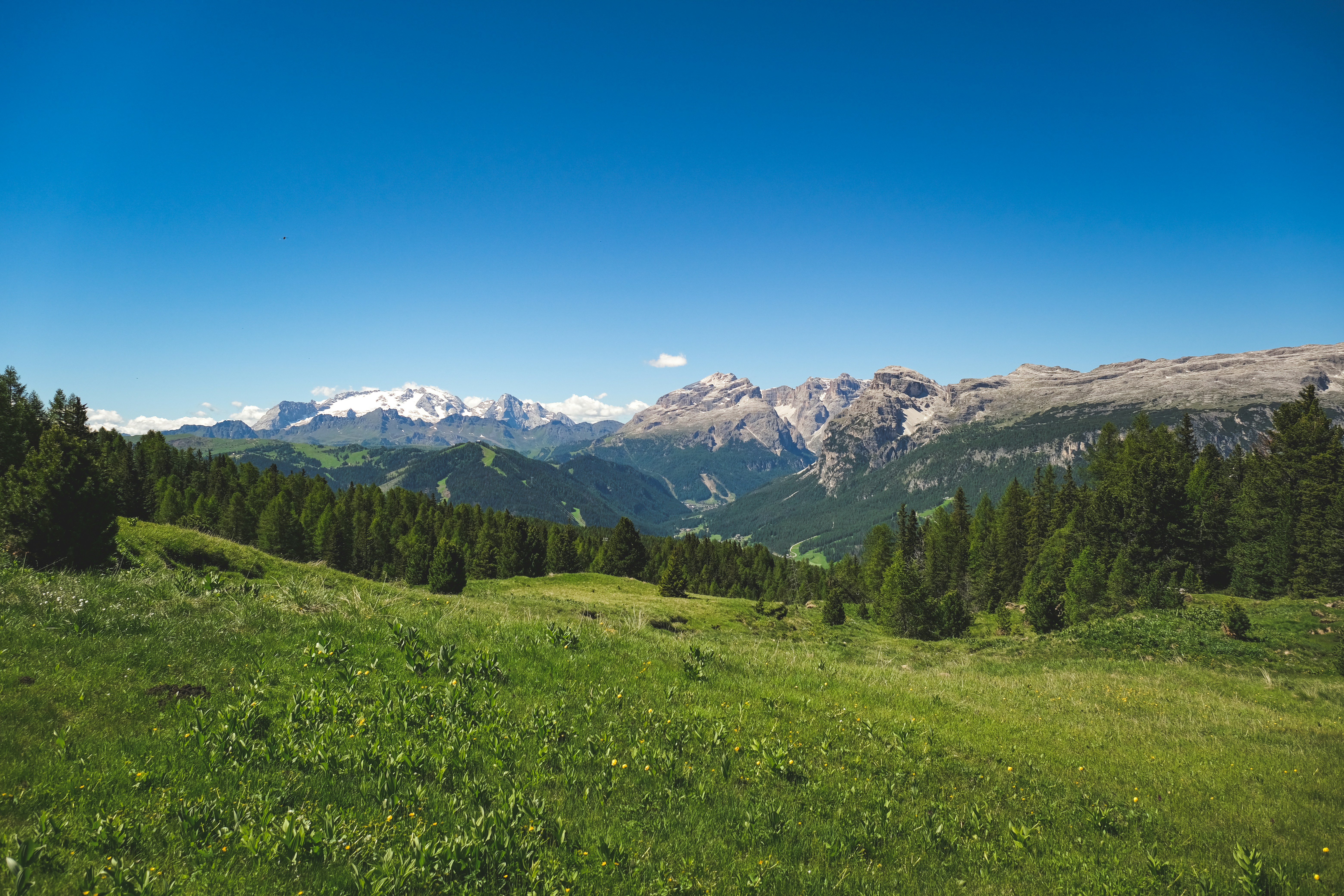 Photo by francesco_ungaro