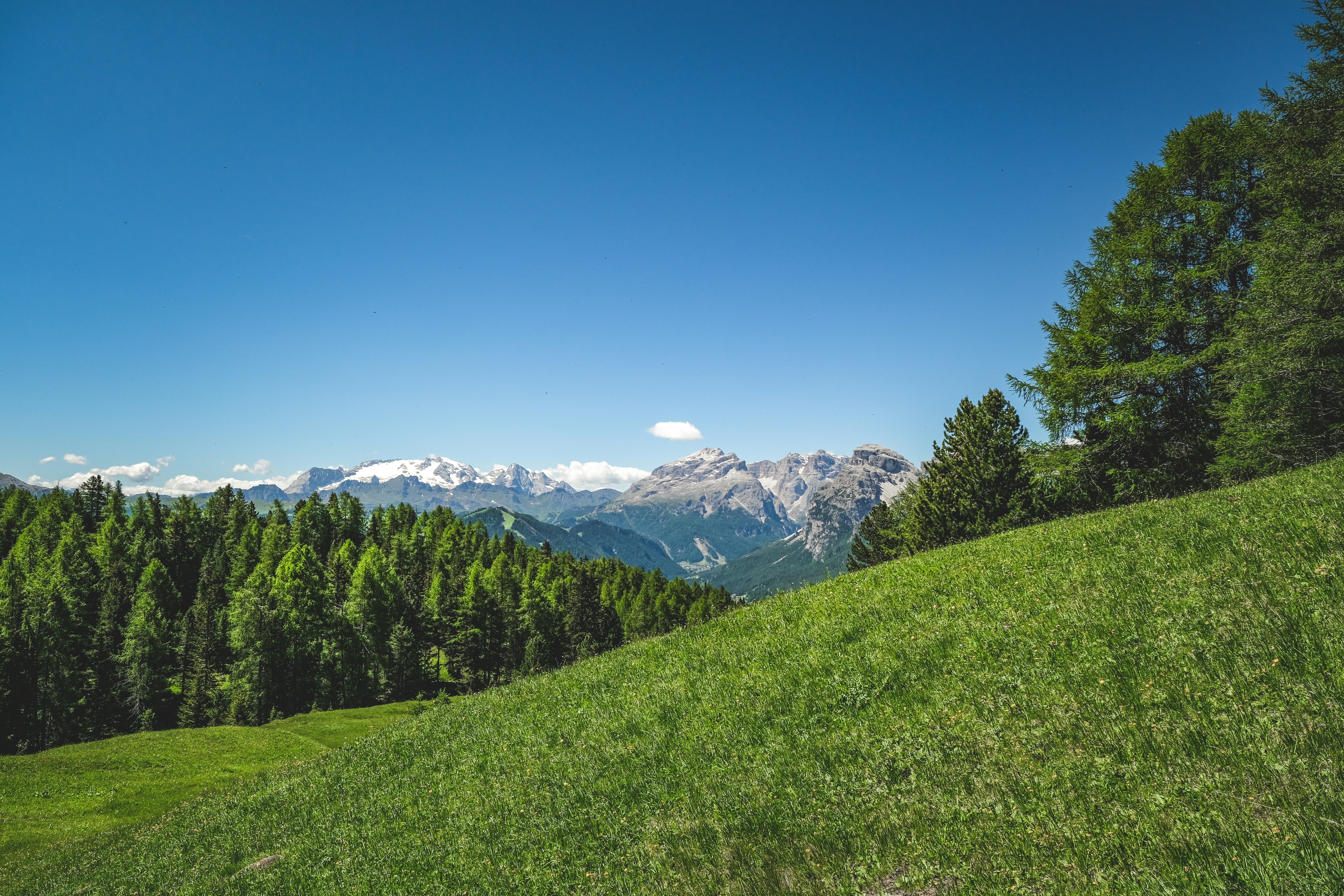 Photo by francesco_ungaro