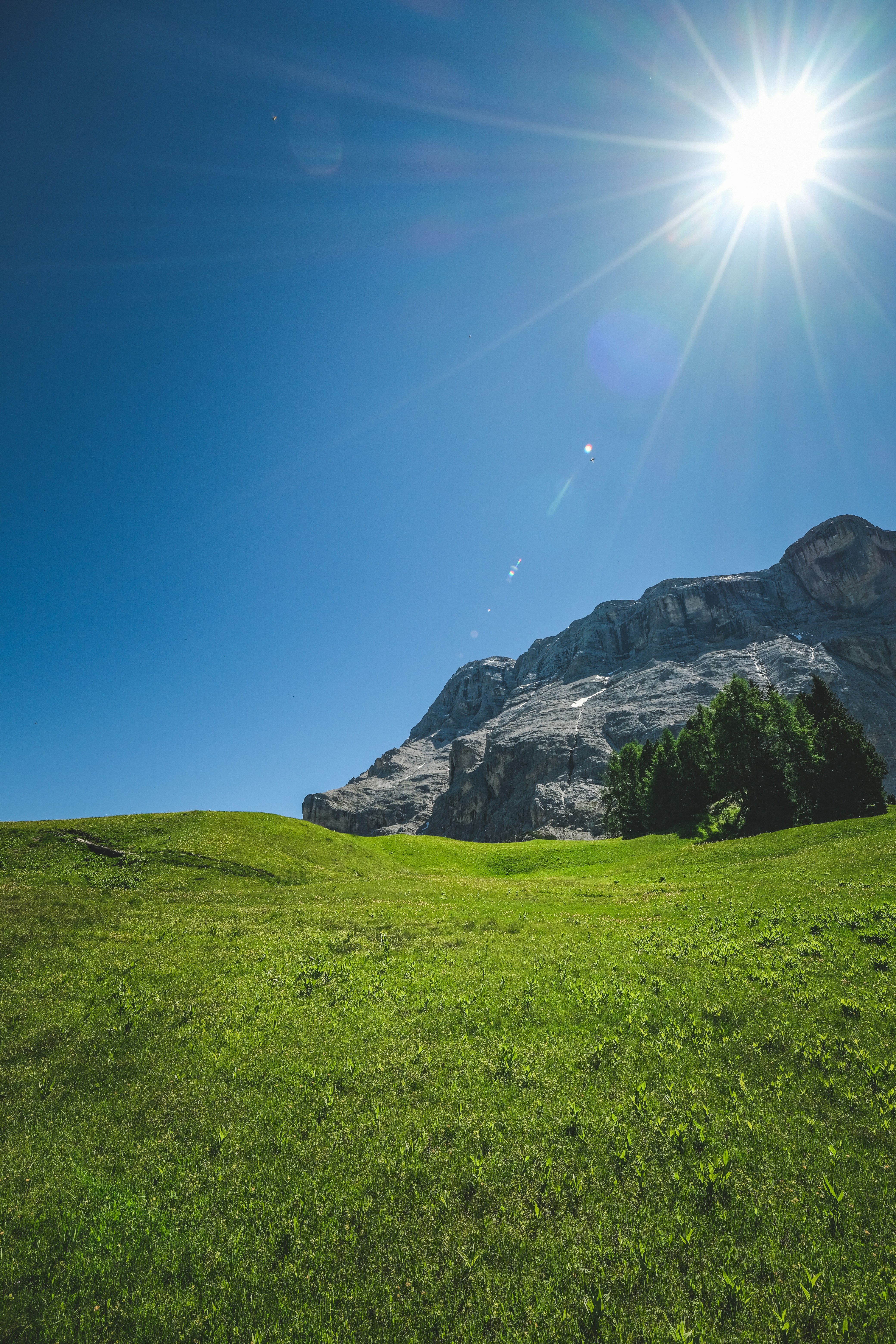 Photo by francesco_ungaro