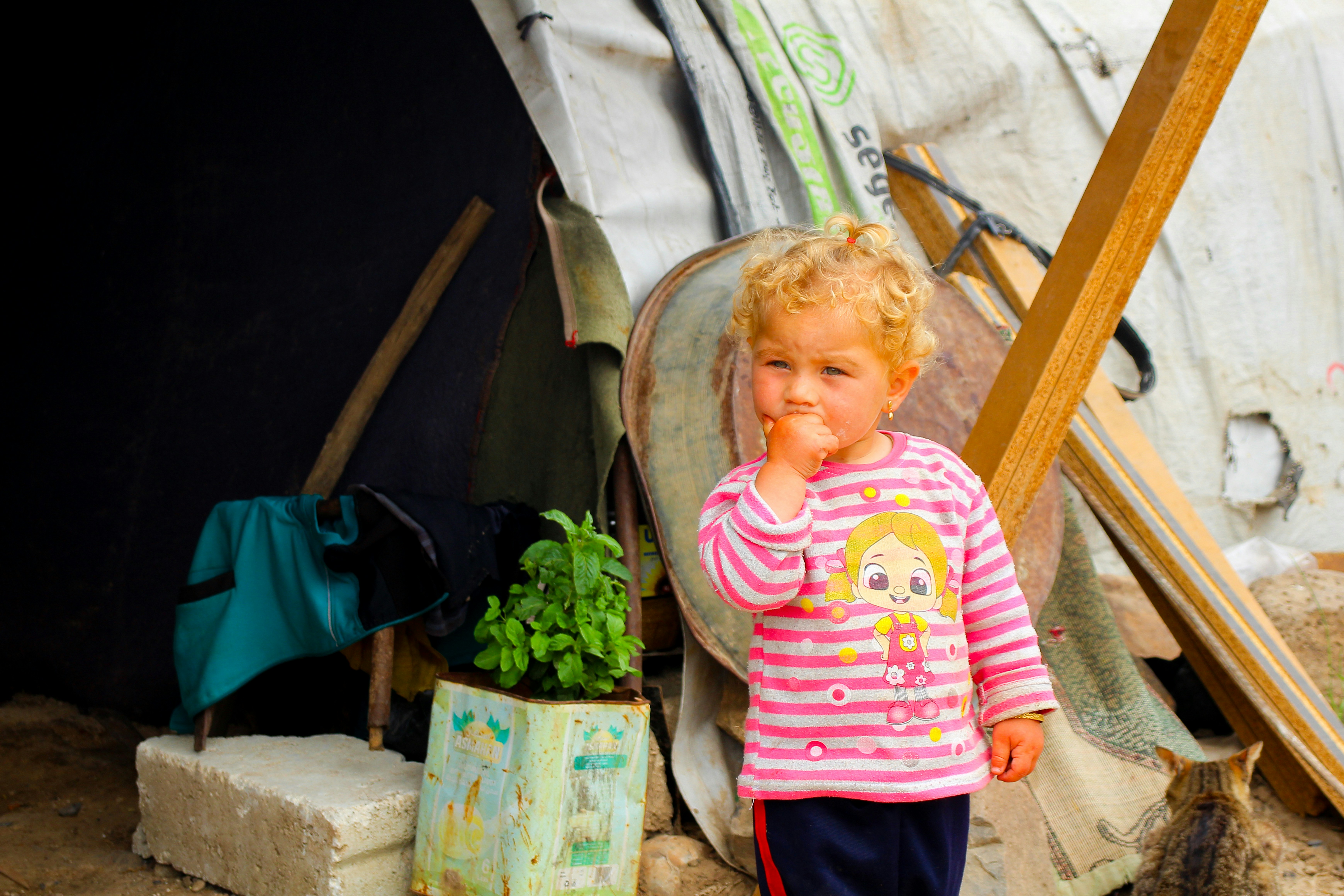 En liten pojke står framför ett tält