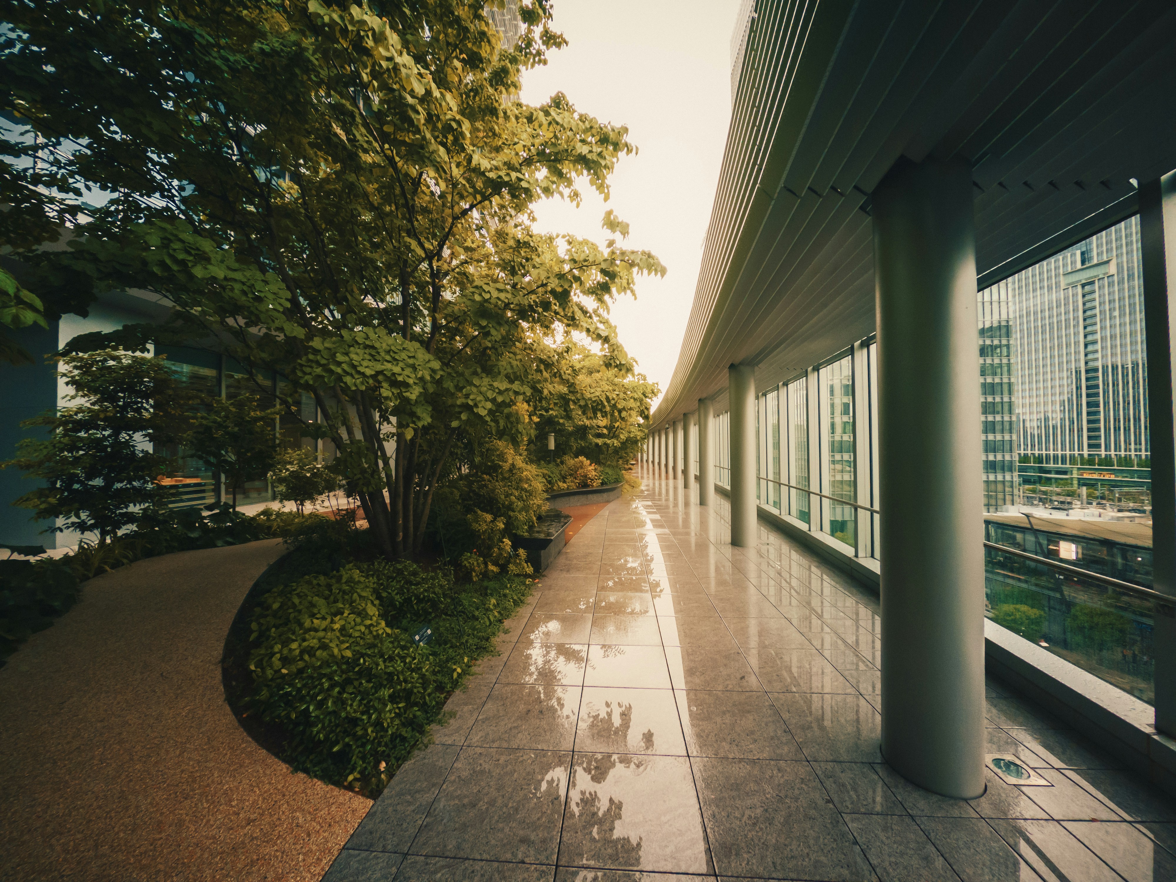 Photo by pino_rumbero