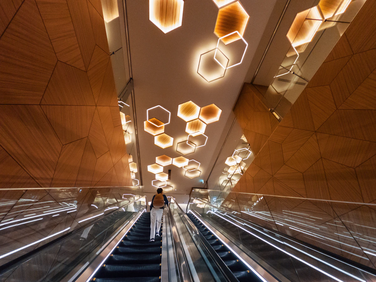 OM Elevator and Escalator