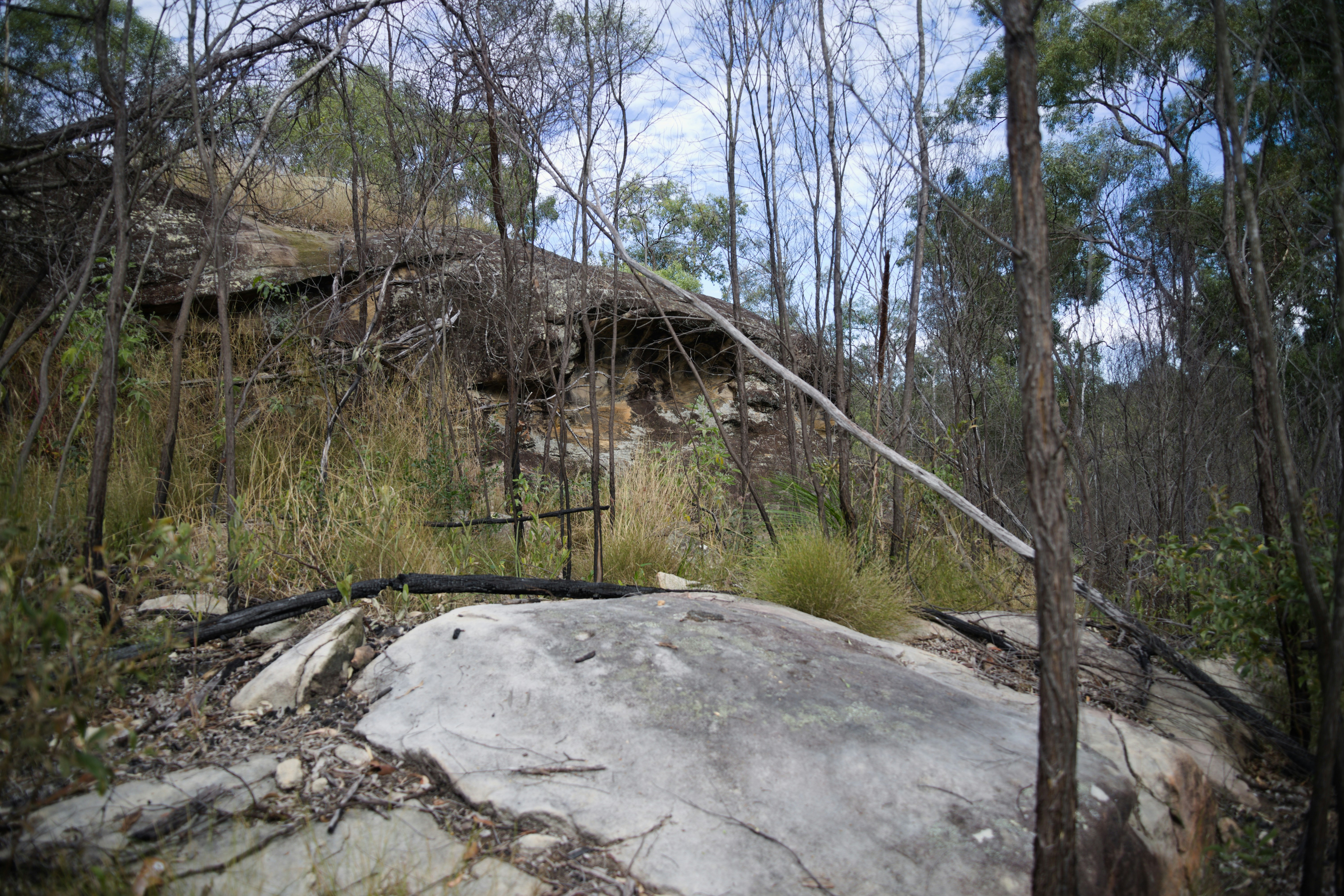 Uma grande rocha no meio de uma floresta
