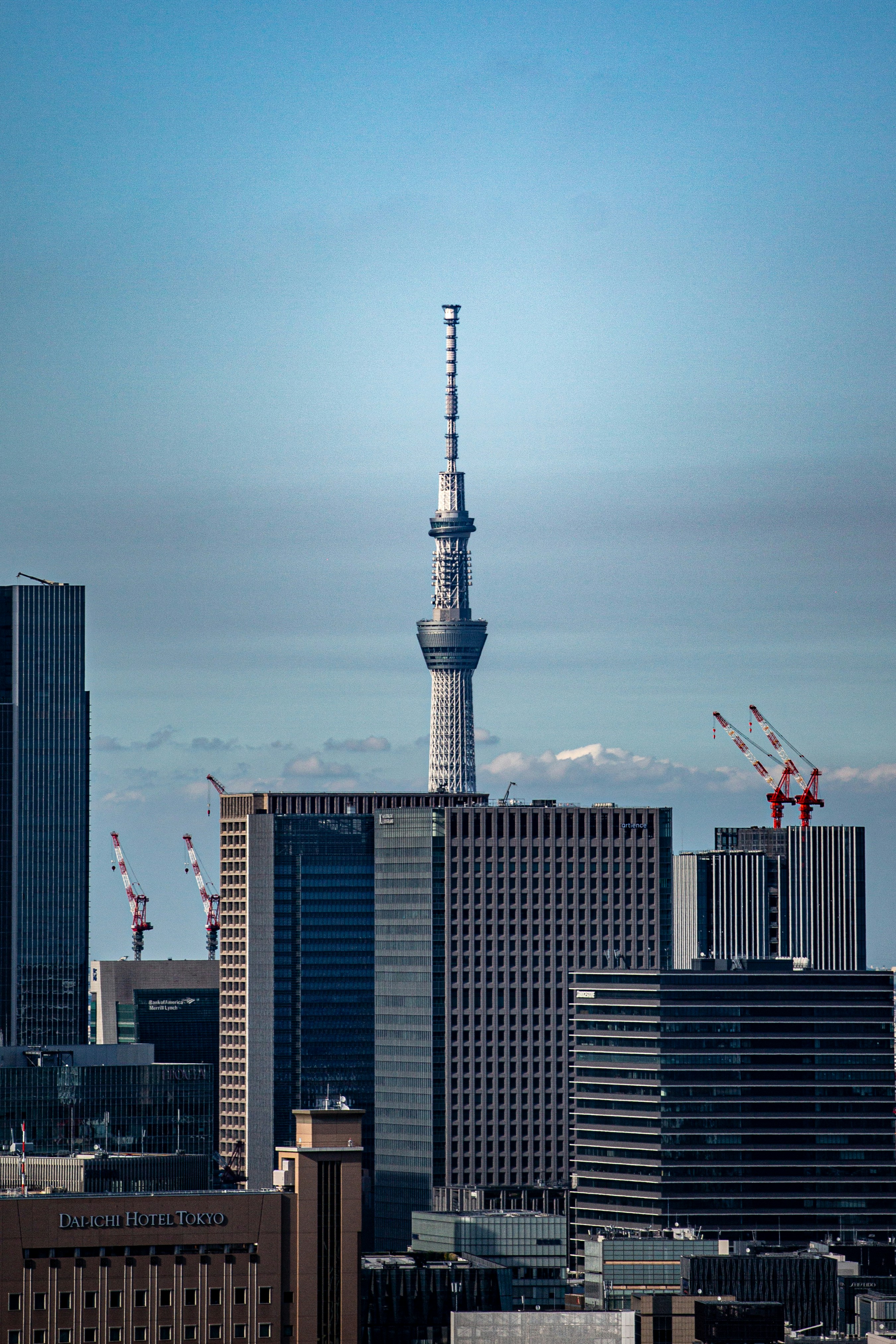 Una vista de una ciudad con edificios altos