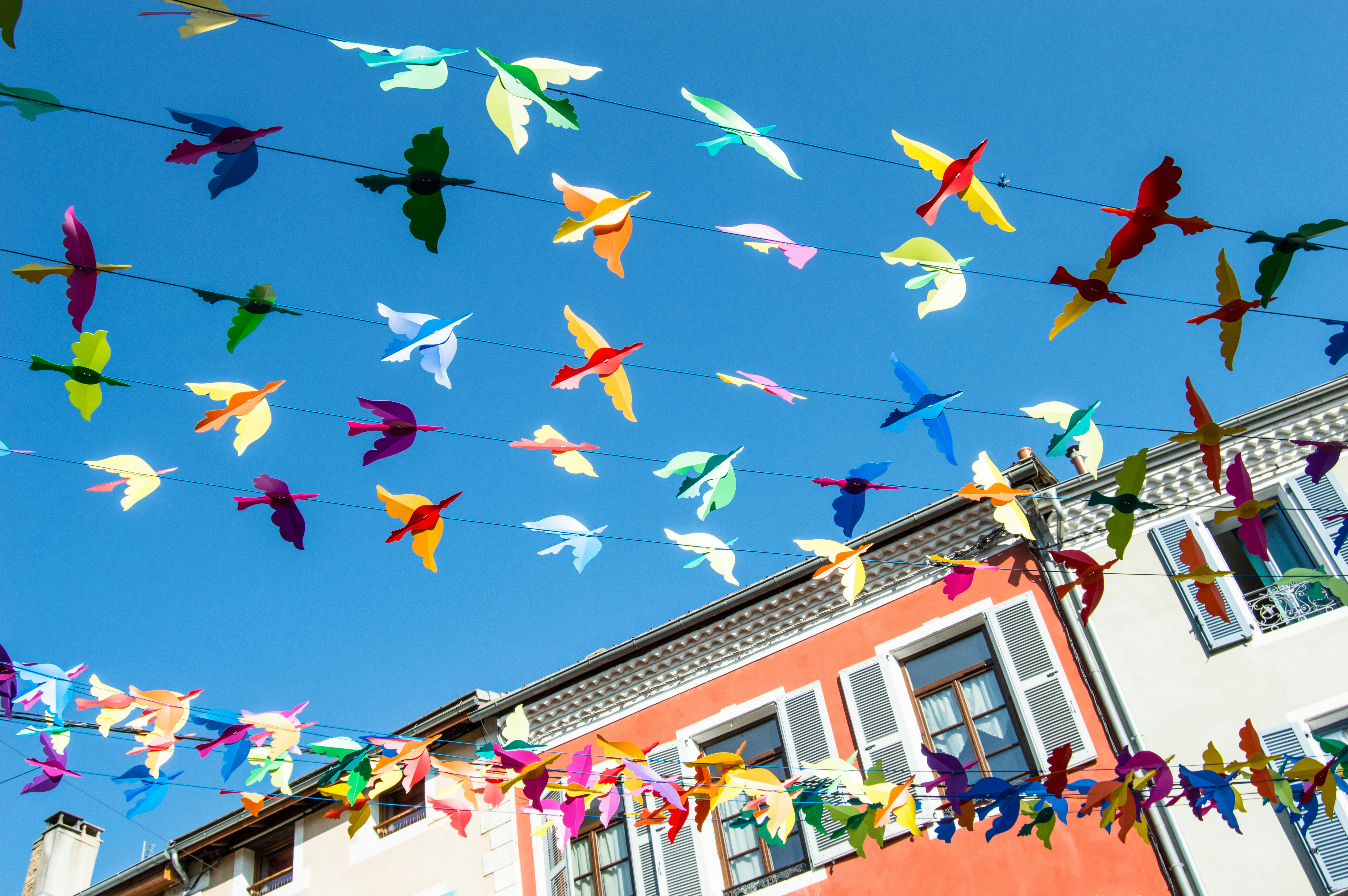 Image by Lucas Gallone via Unsplash