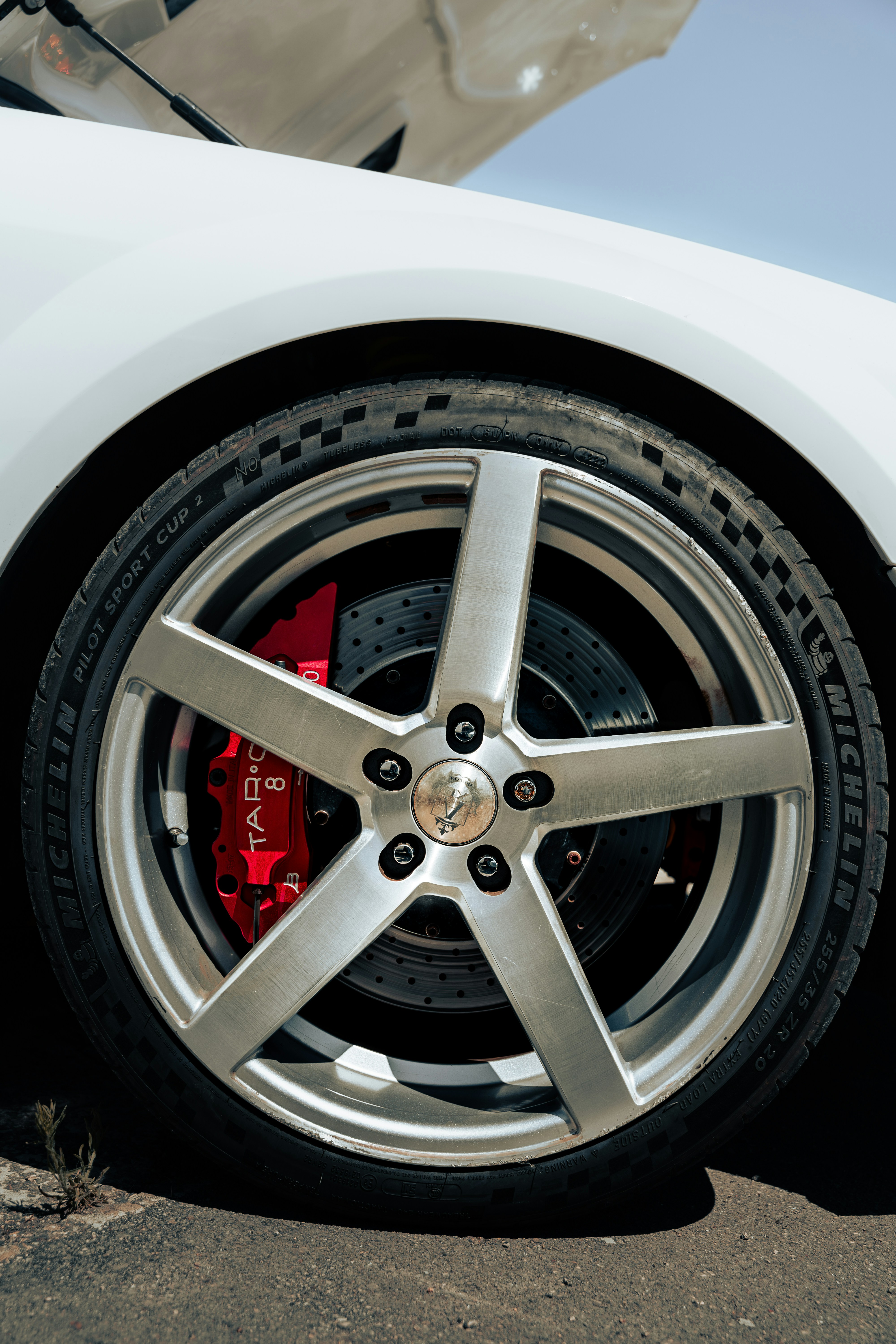 Photo by tiago_f_ferreira