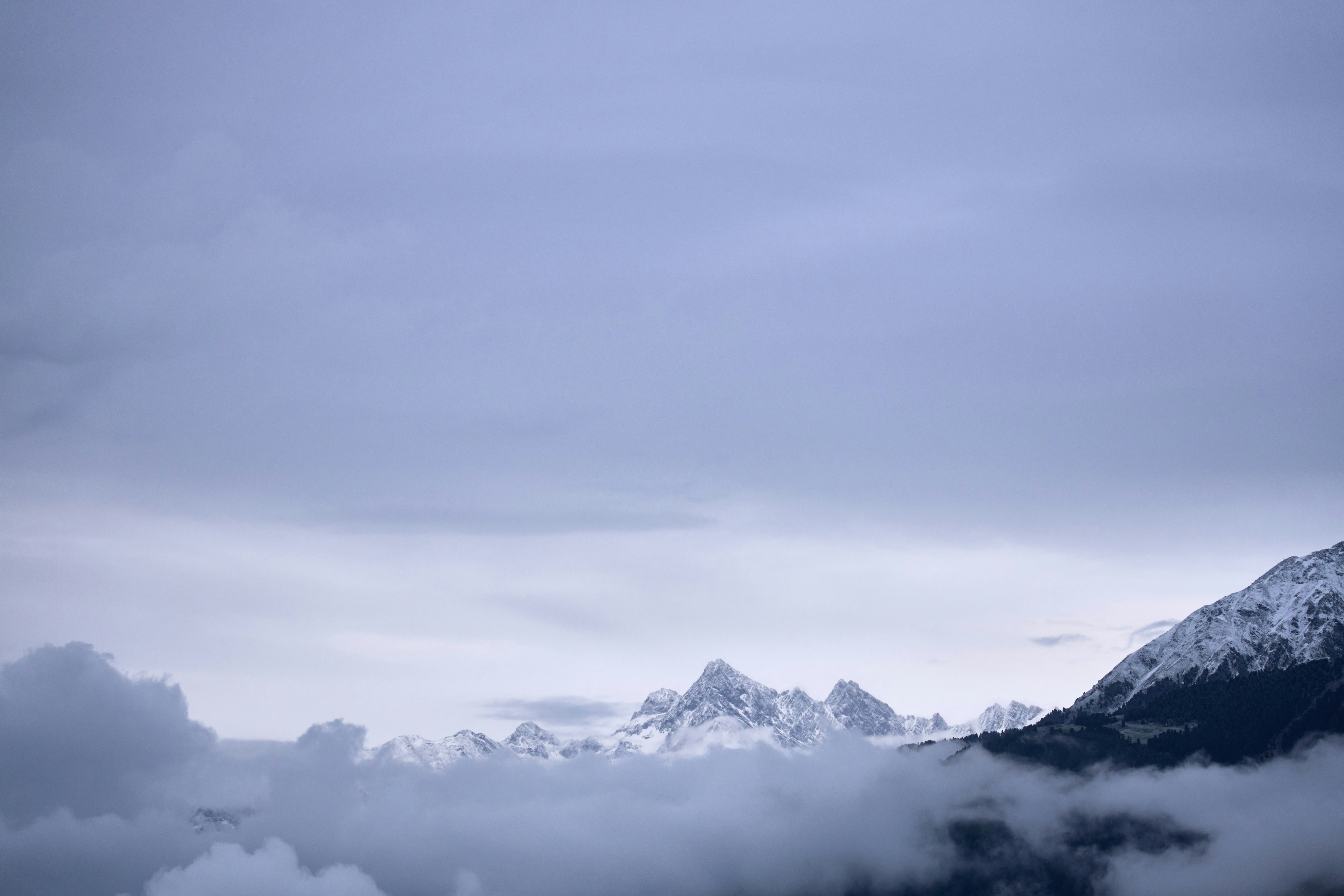 Photo by wolfgang_hasselmann