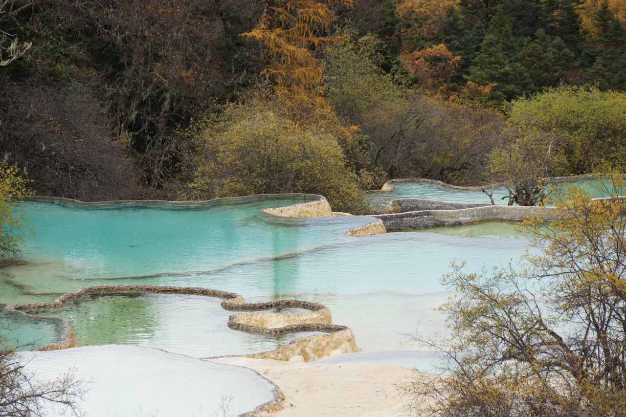 Huanglong pools in the forest