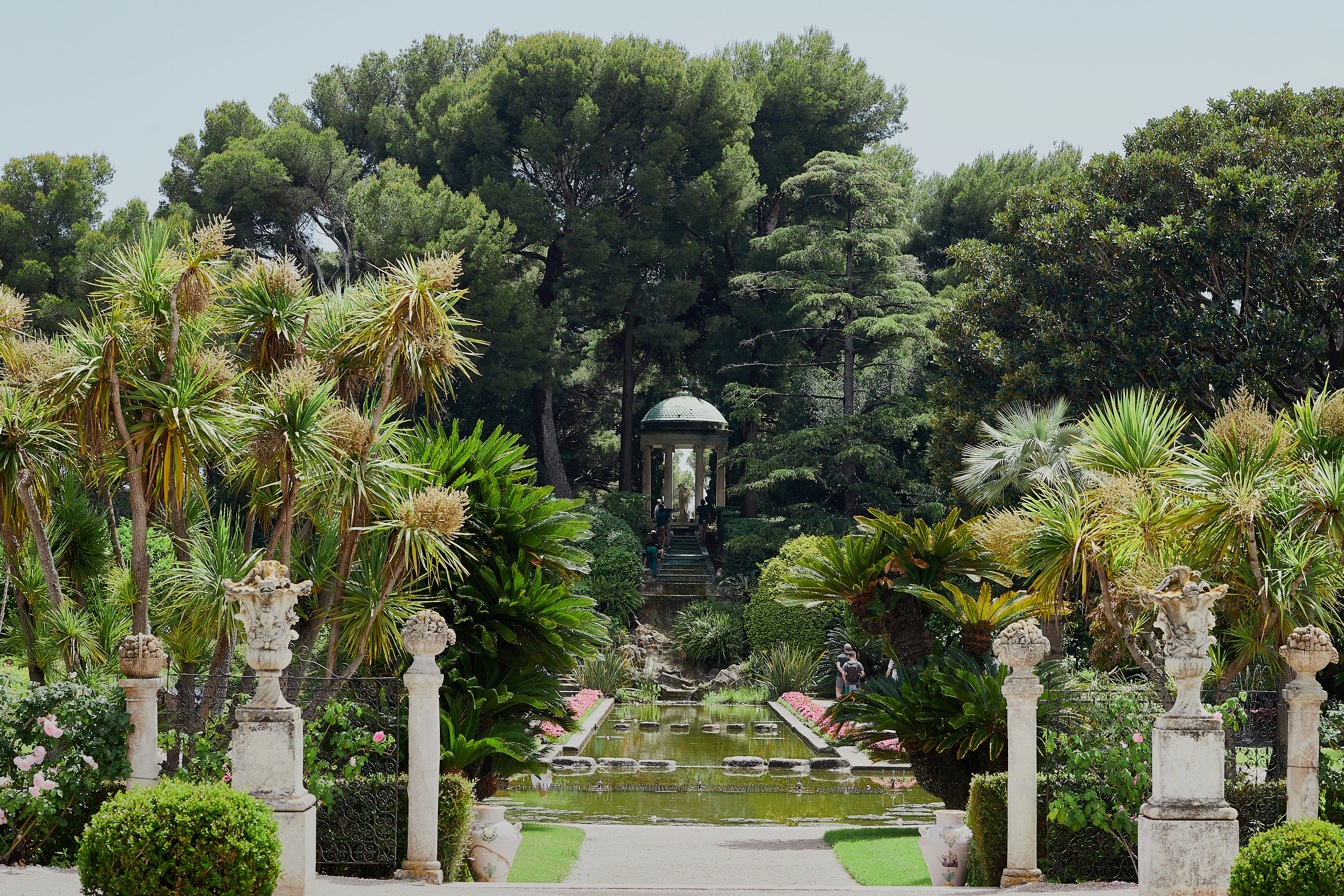 A park with a lot of trees and bushes