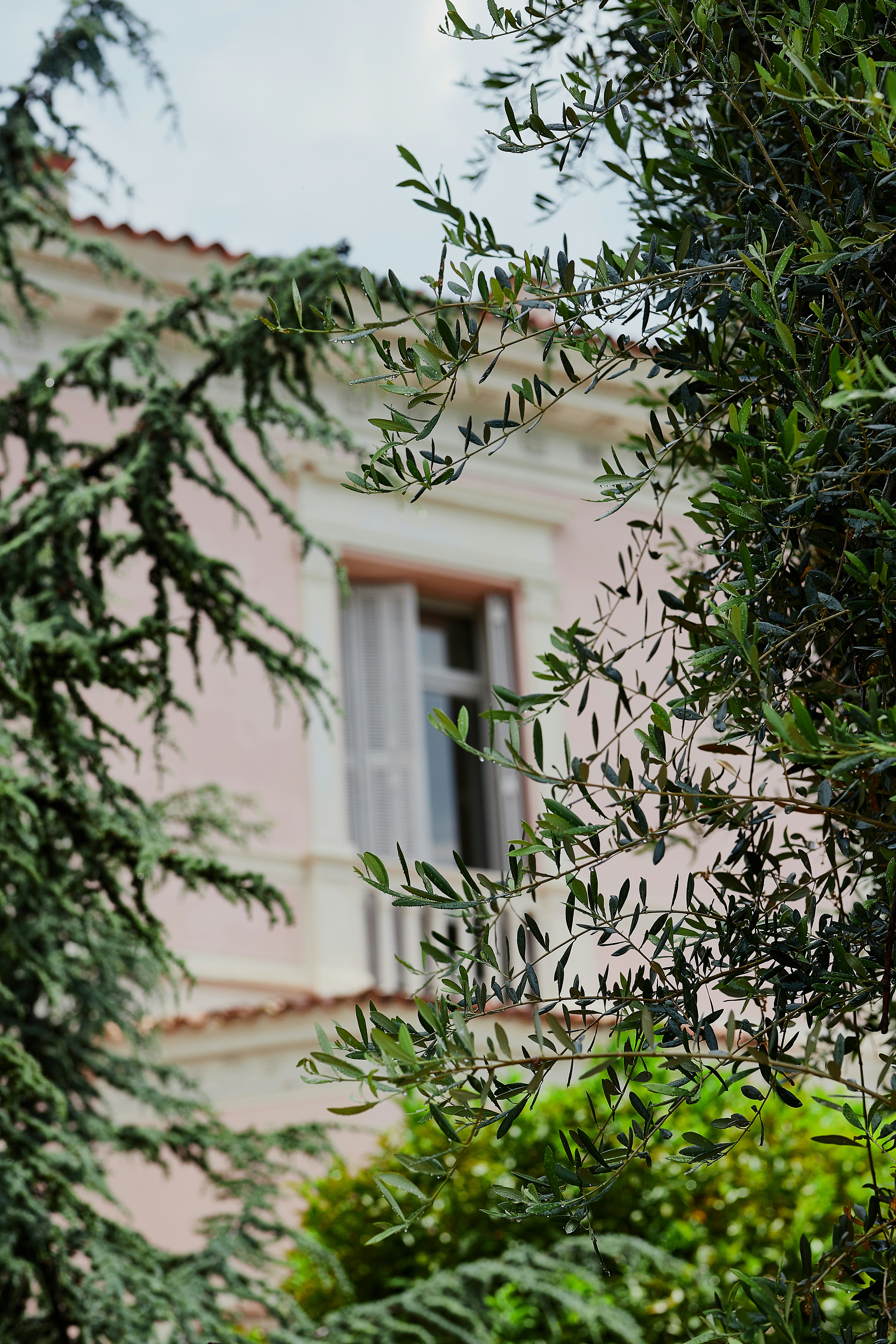 A pink building with a white window and a green tree in front of it