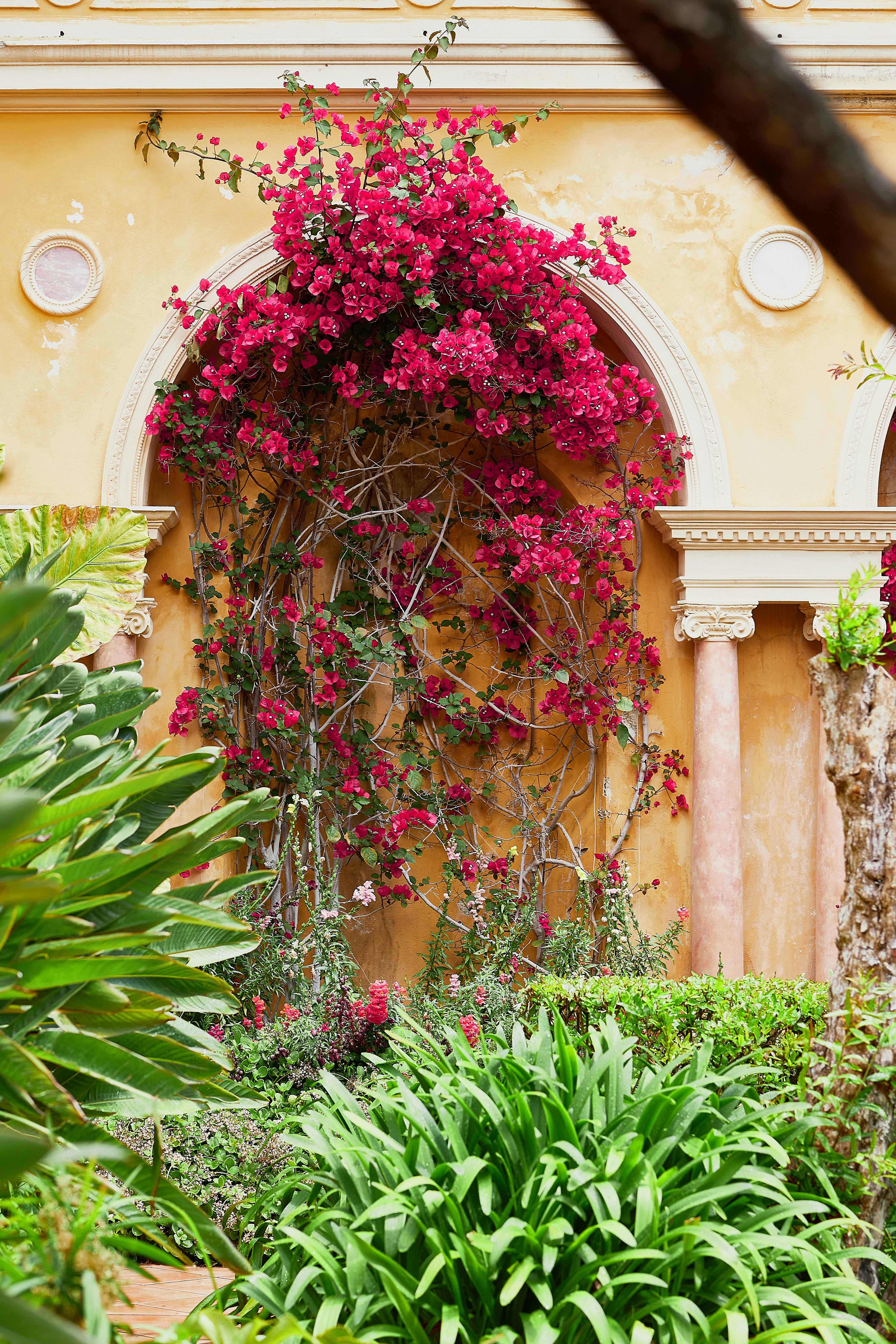 A building with a bunch of flowers growing on it