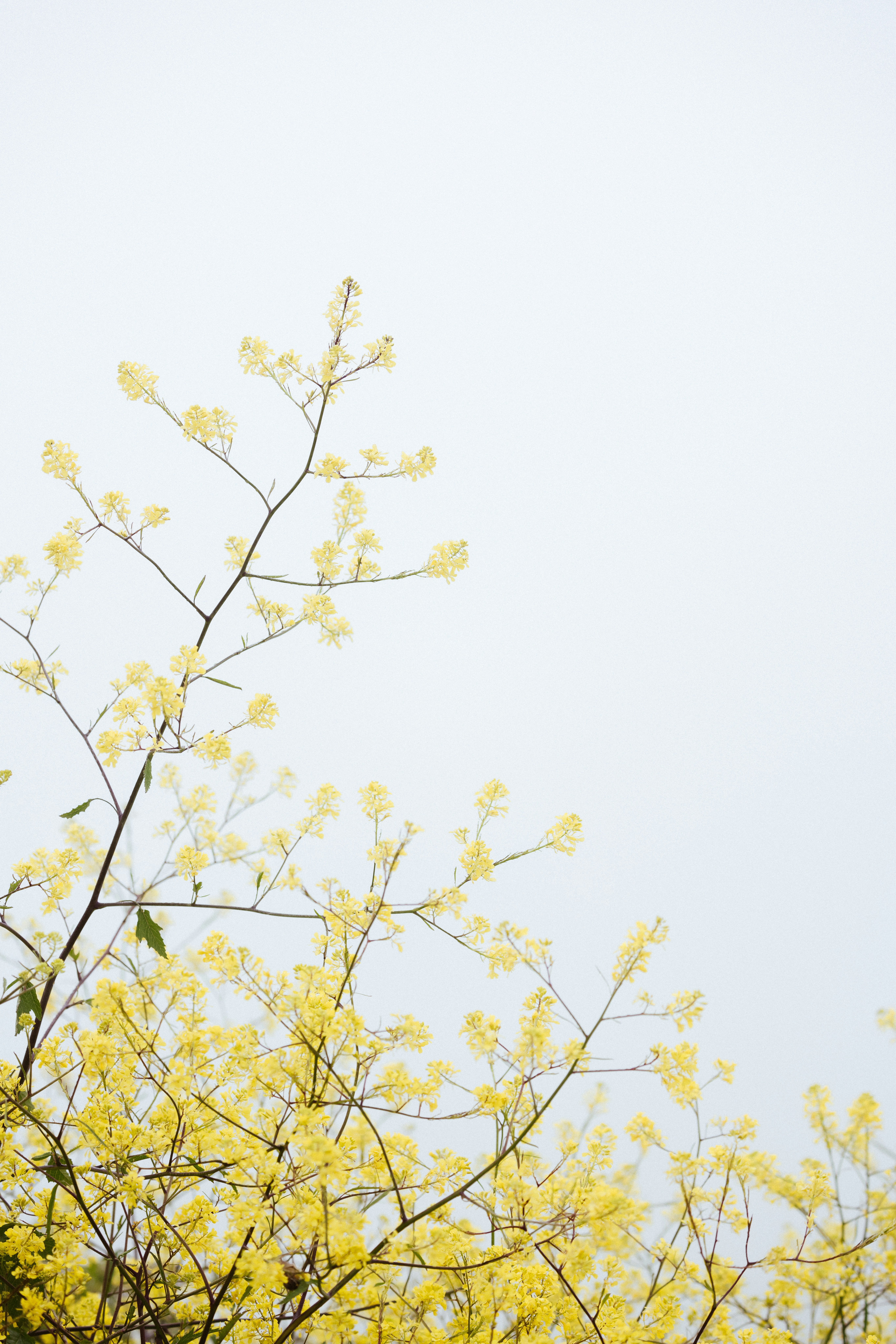 Photo by anniespratt