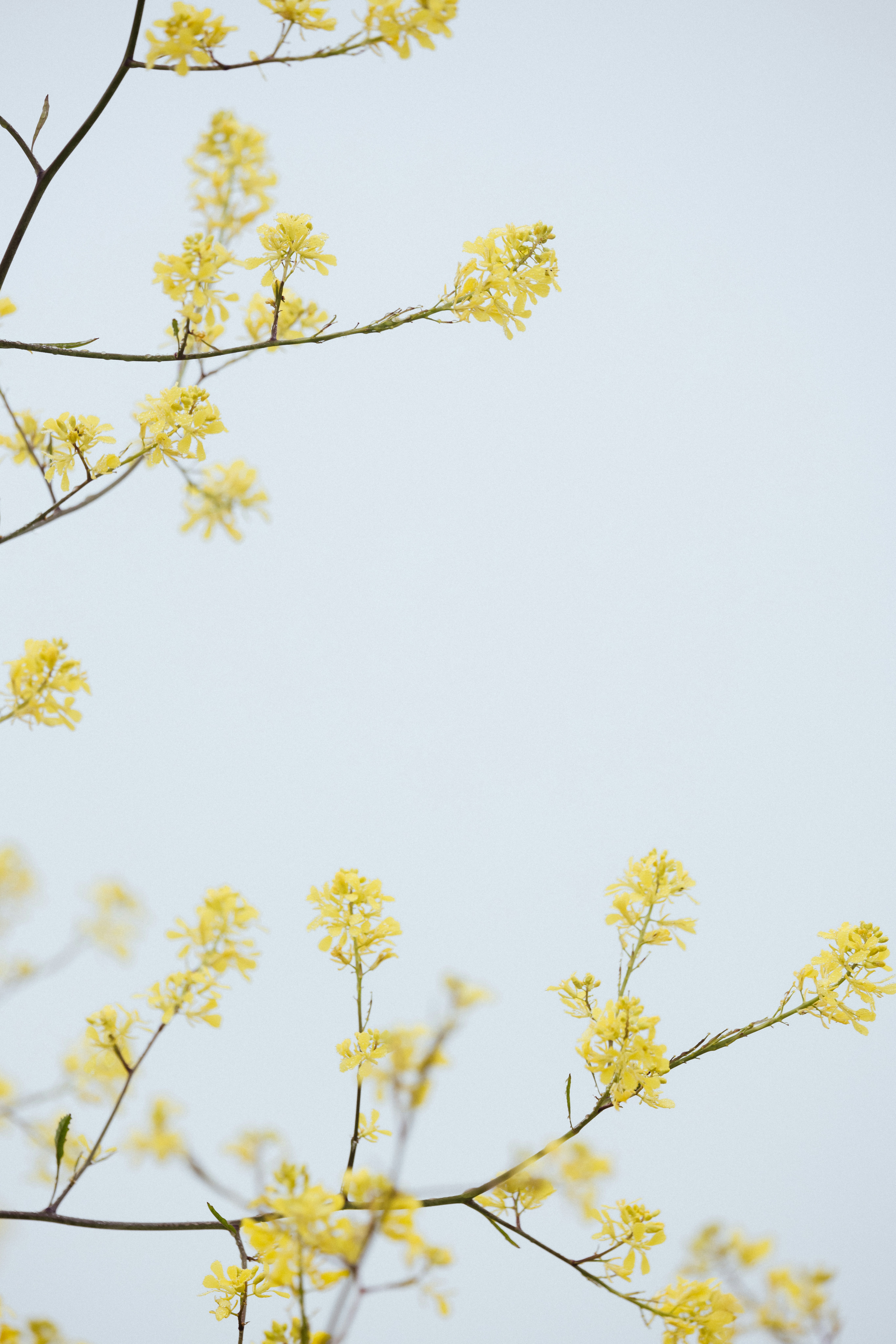 Photo by anniespratt