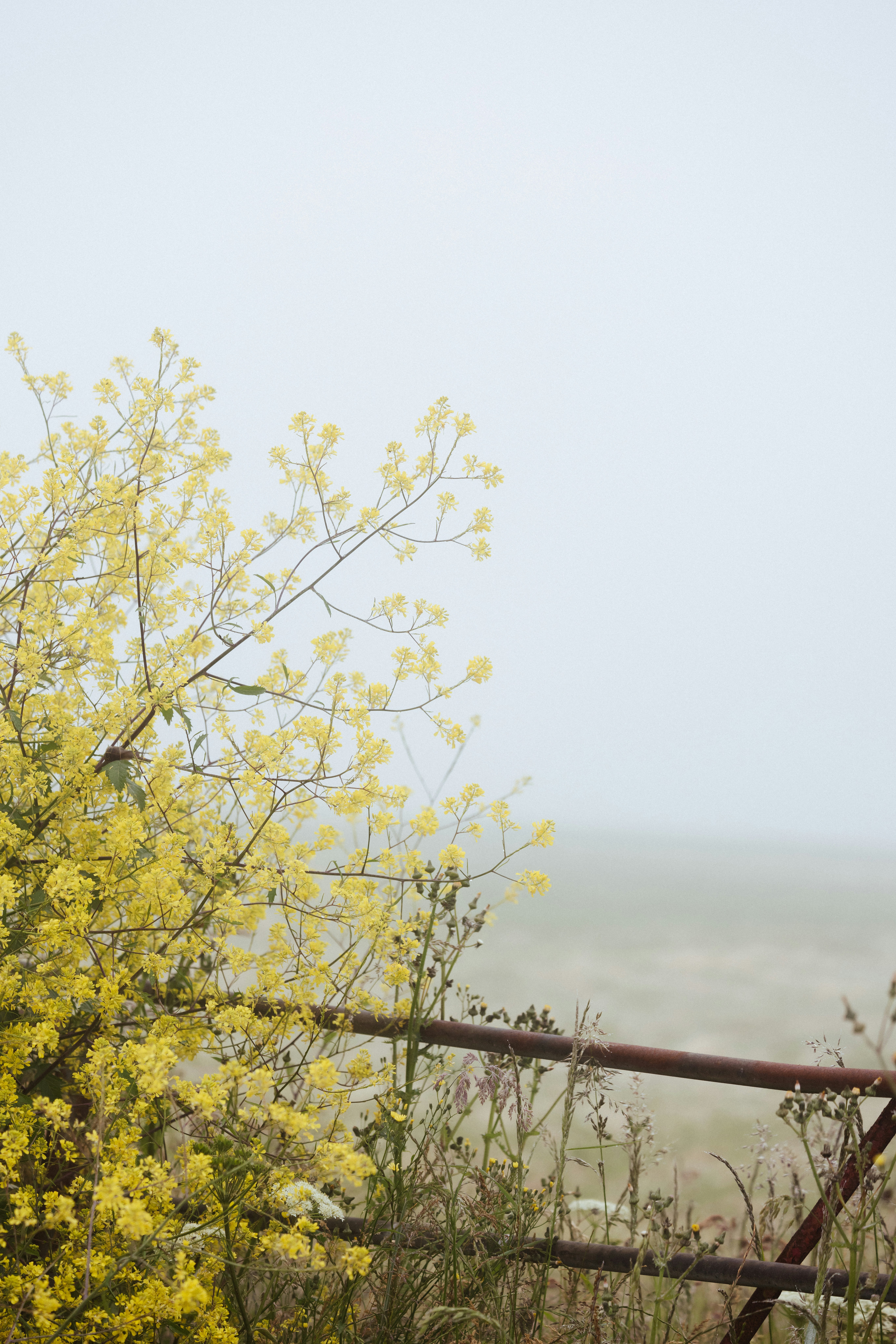 Photo by anniespratt