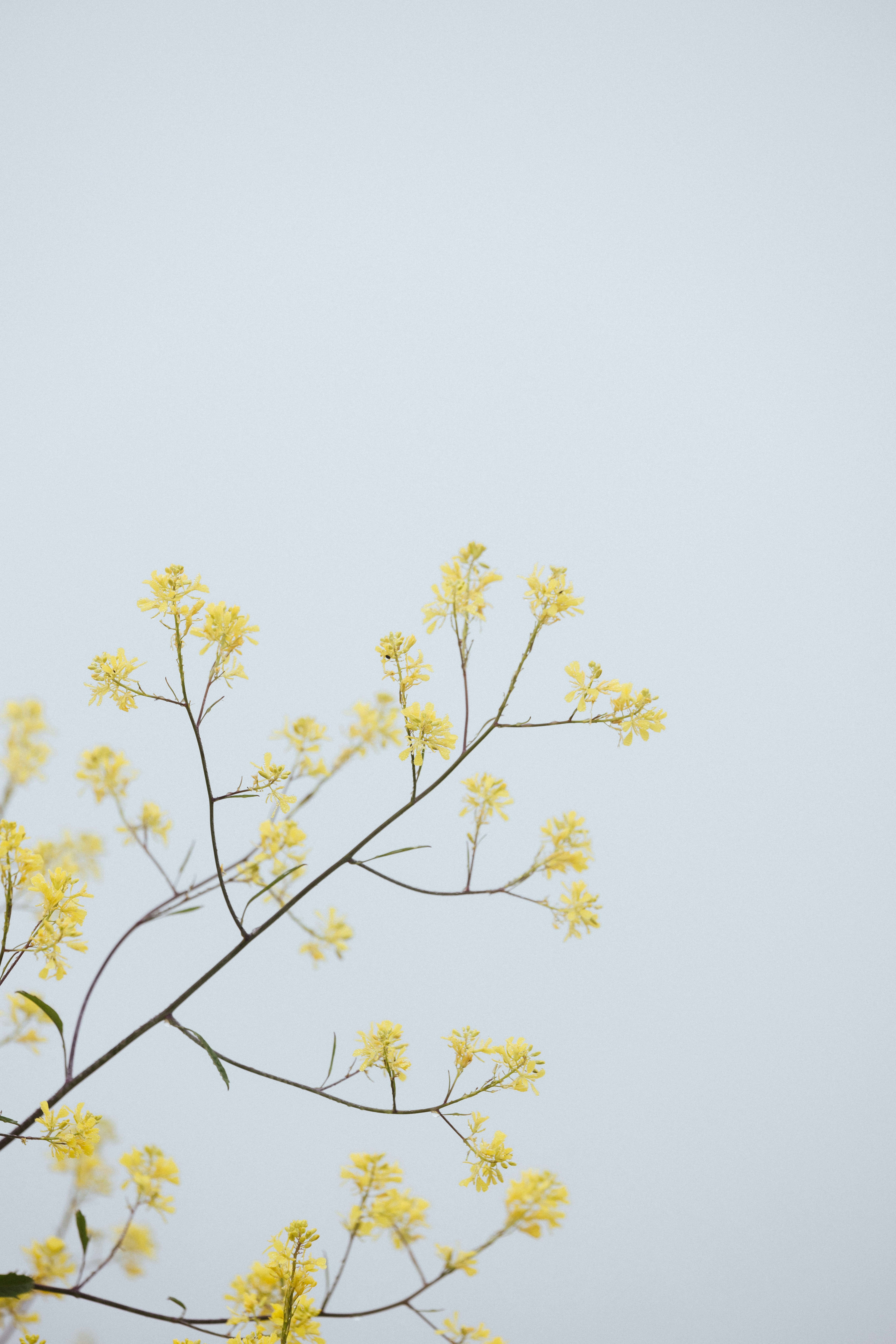 Photo by anniespratt