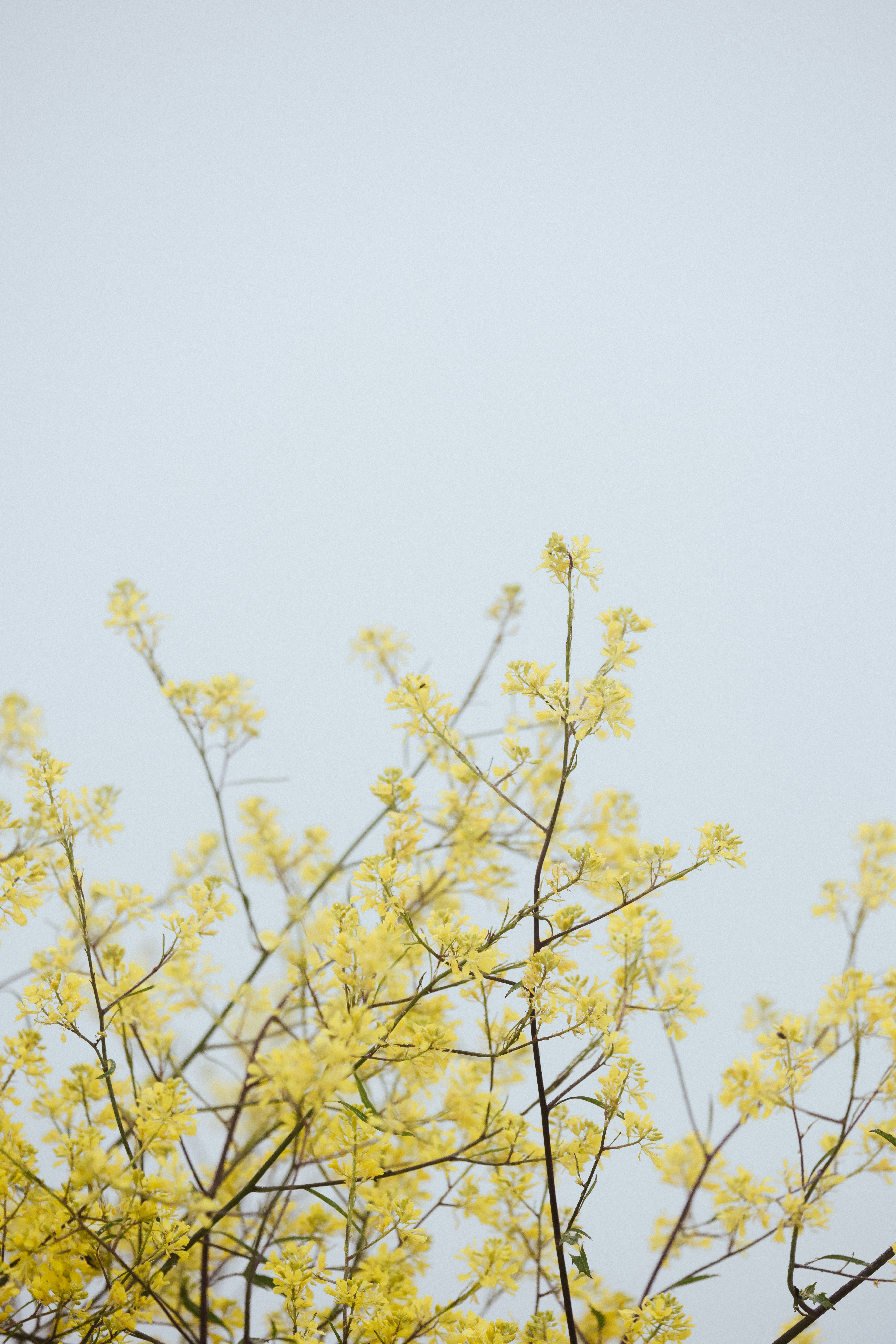 Photo by anniespratt