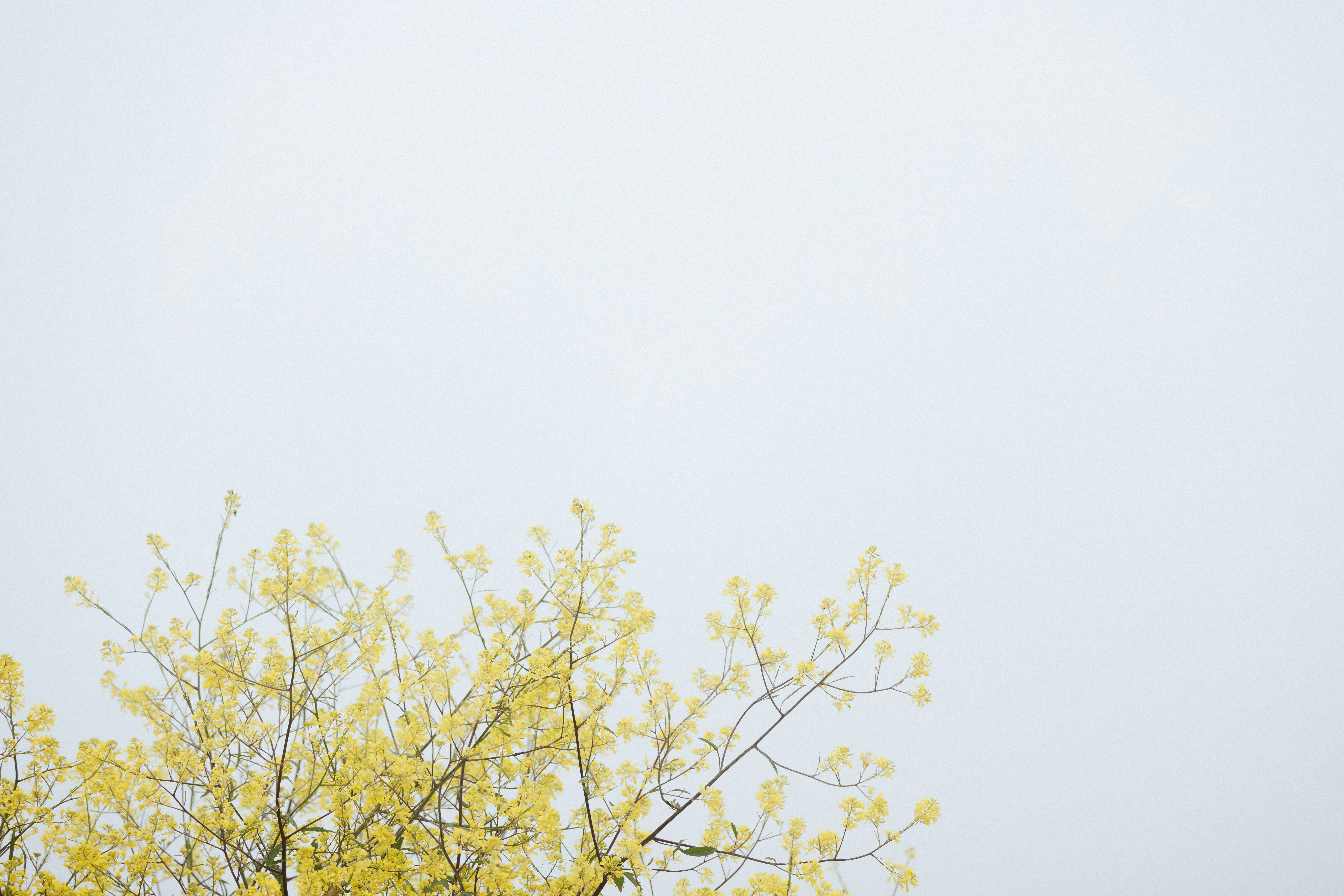 Photo by anniespratt