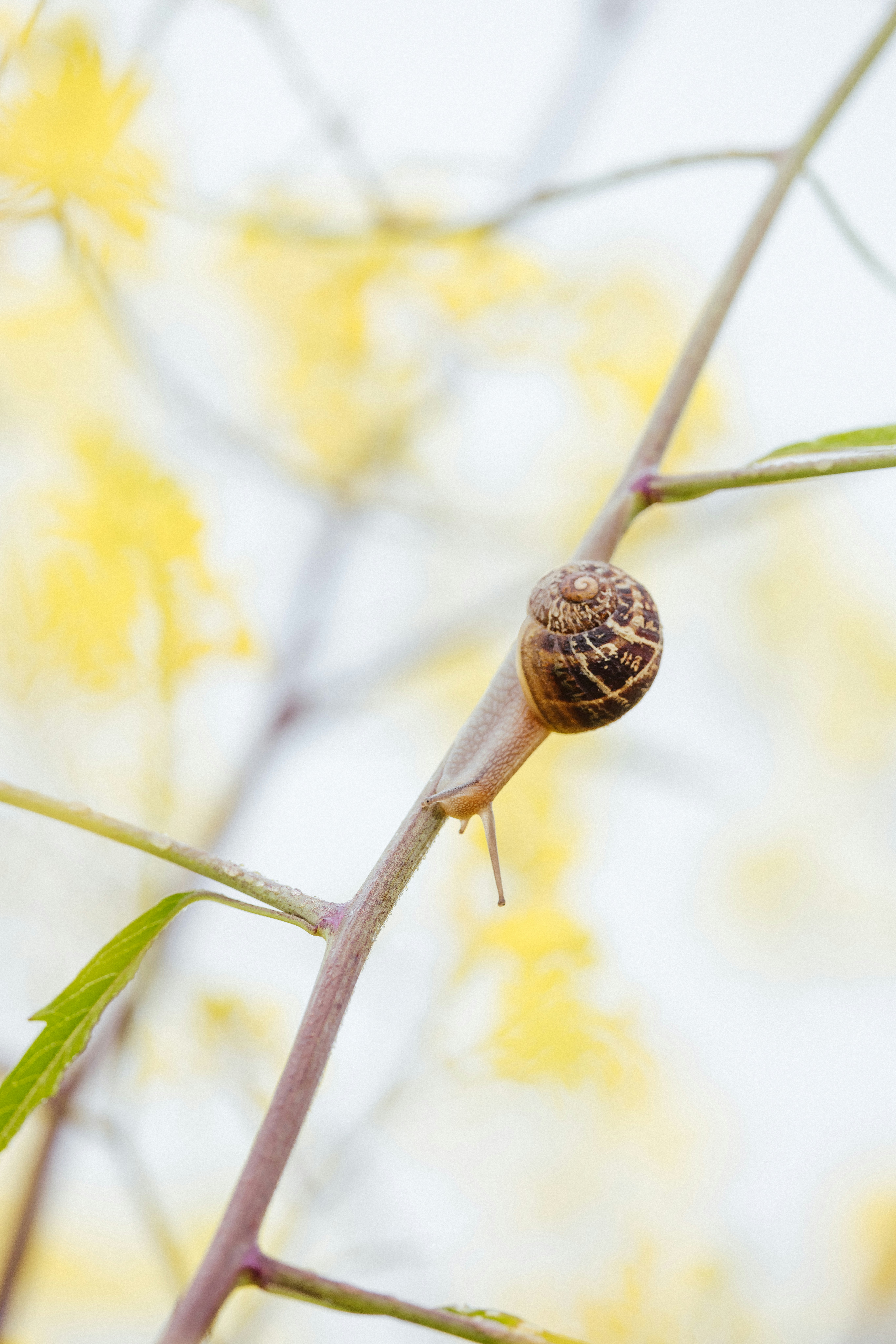 Photo by anniespratt