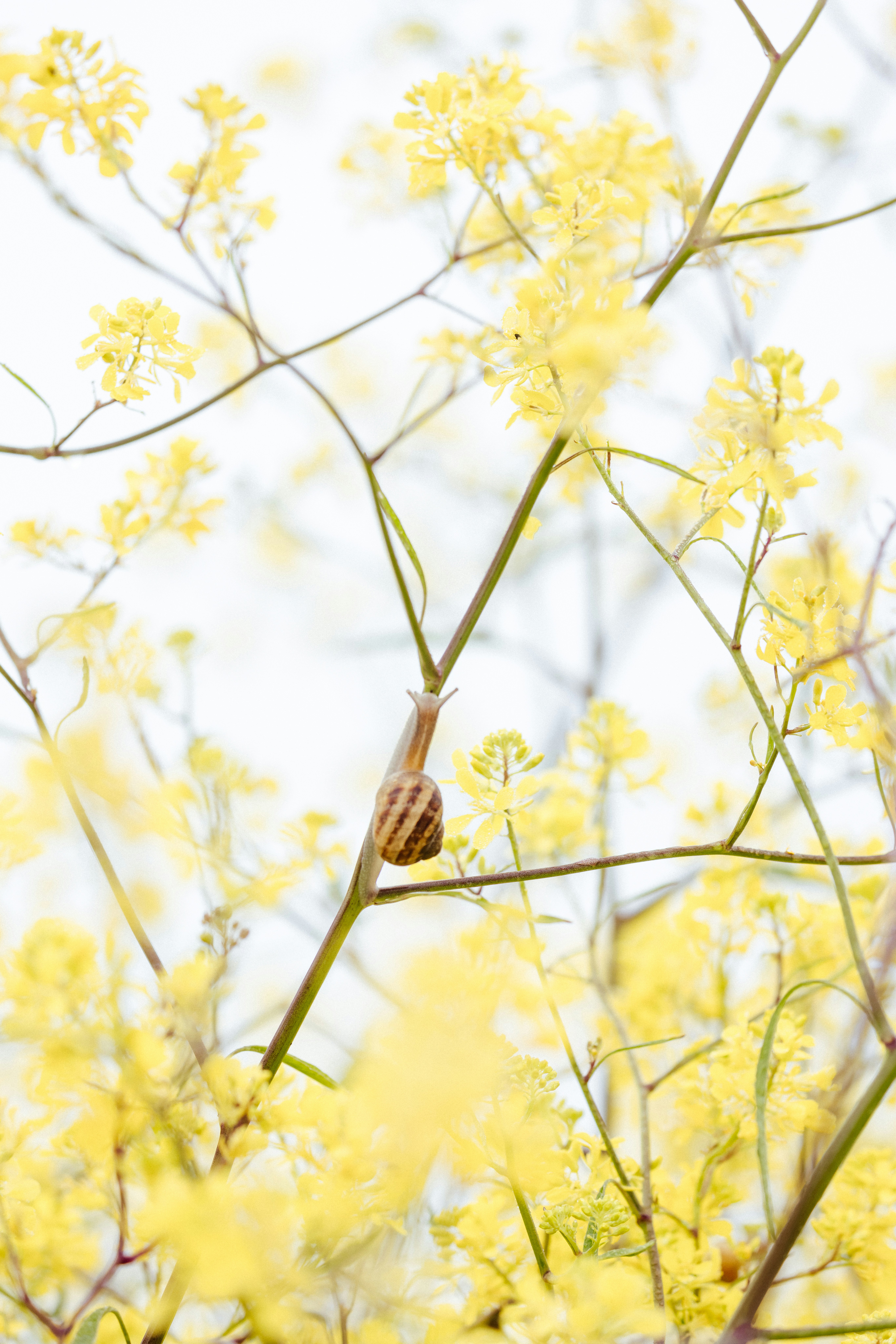 Photo by anniespratt