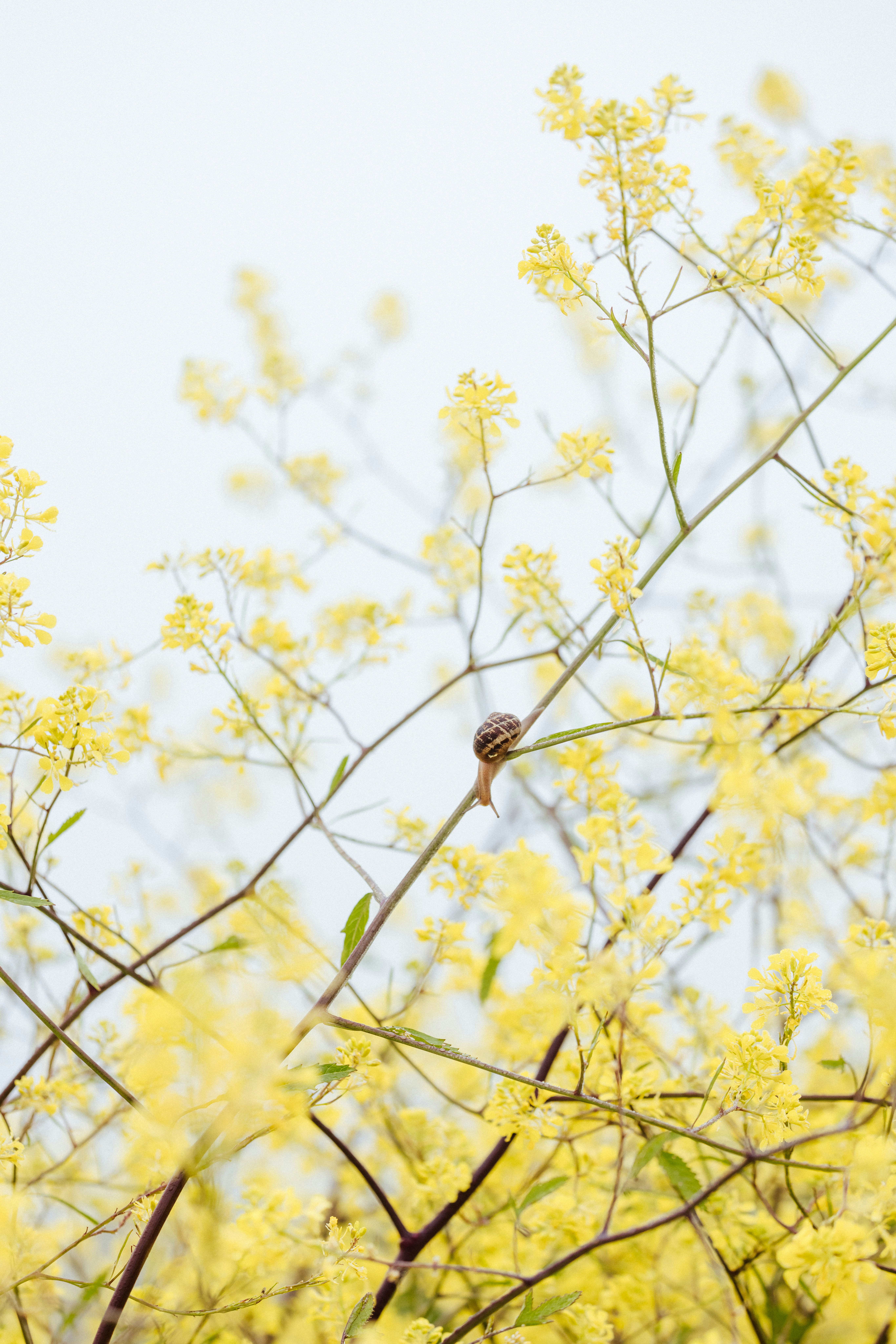 Photo by anniespratt