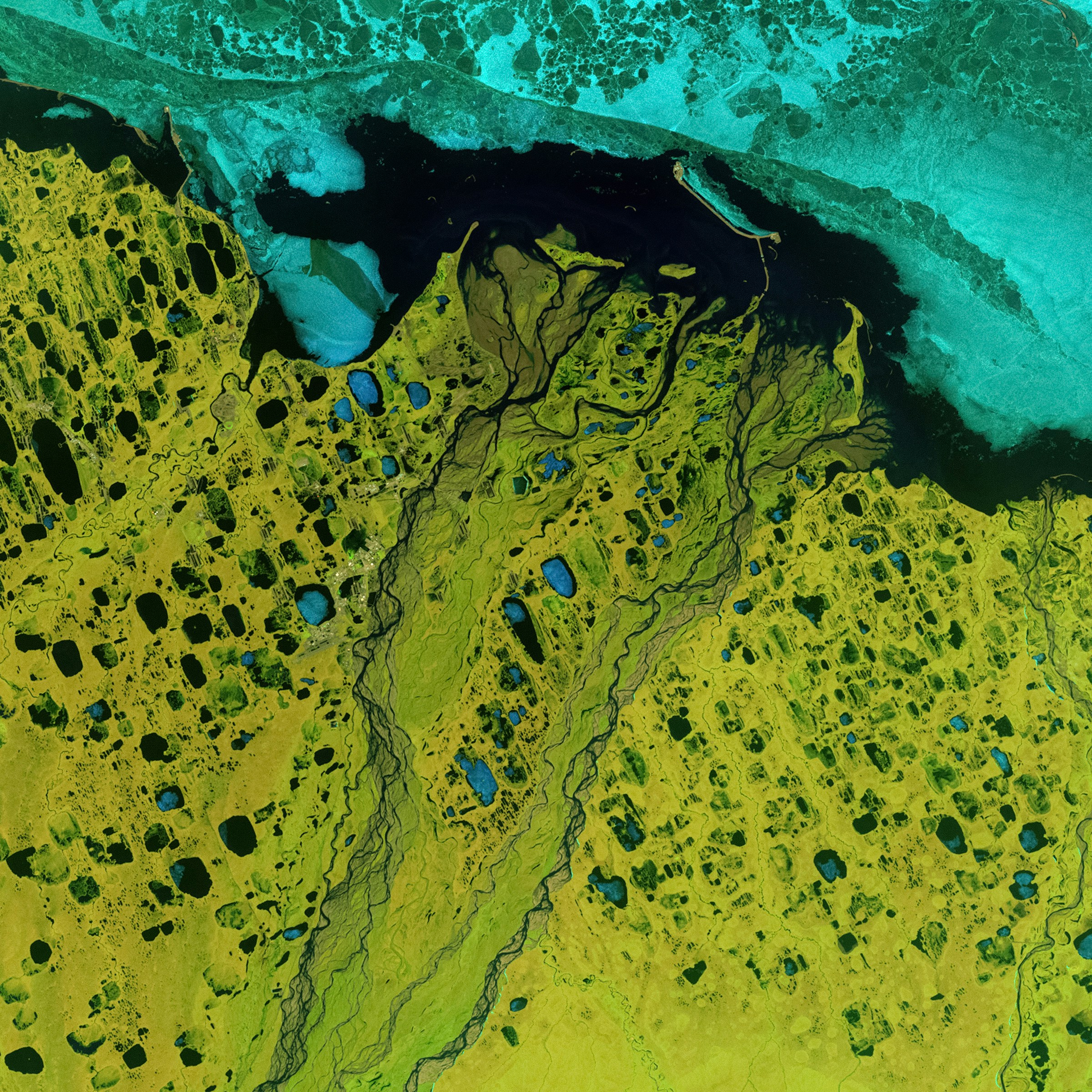 A satellite image of a body of water