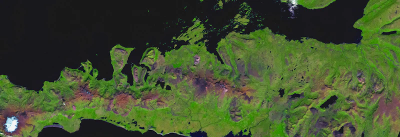 Satellite view of green landscape and water for GIS and remote sensing