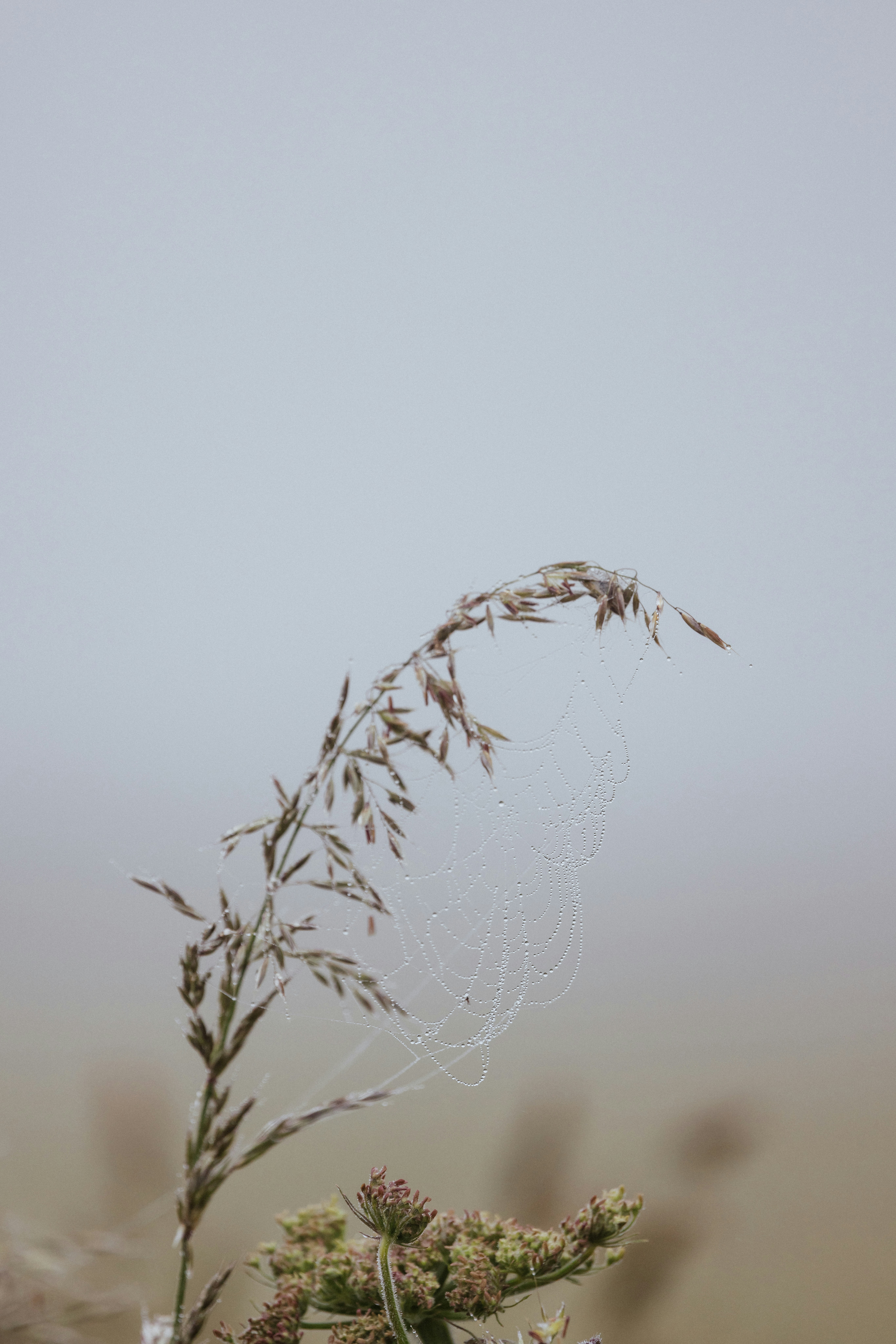Photo by anniespratt