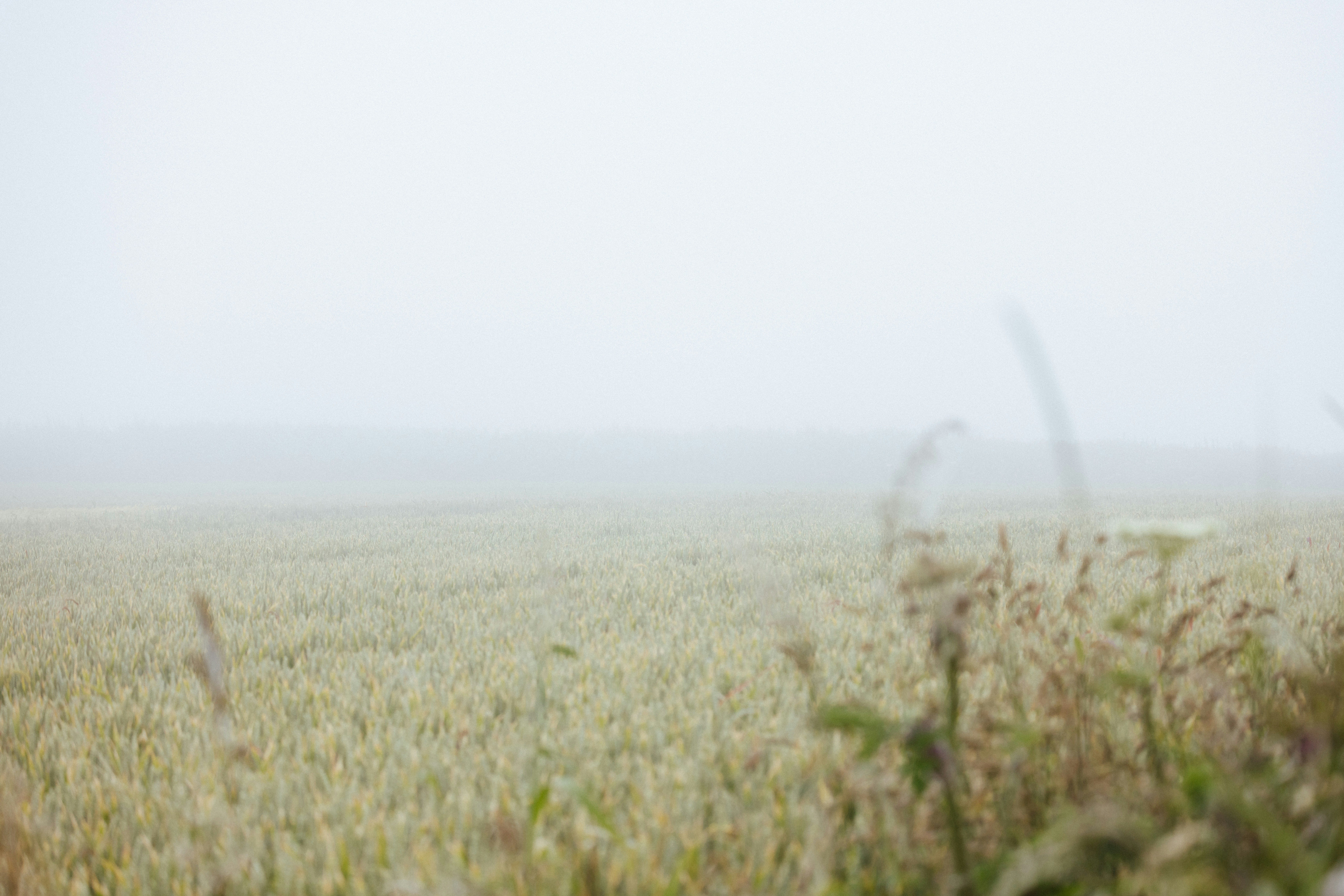 Photo by anniespratt