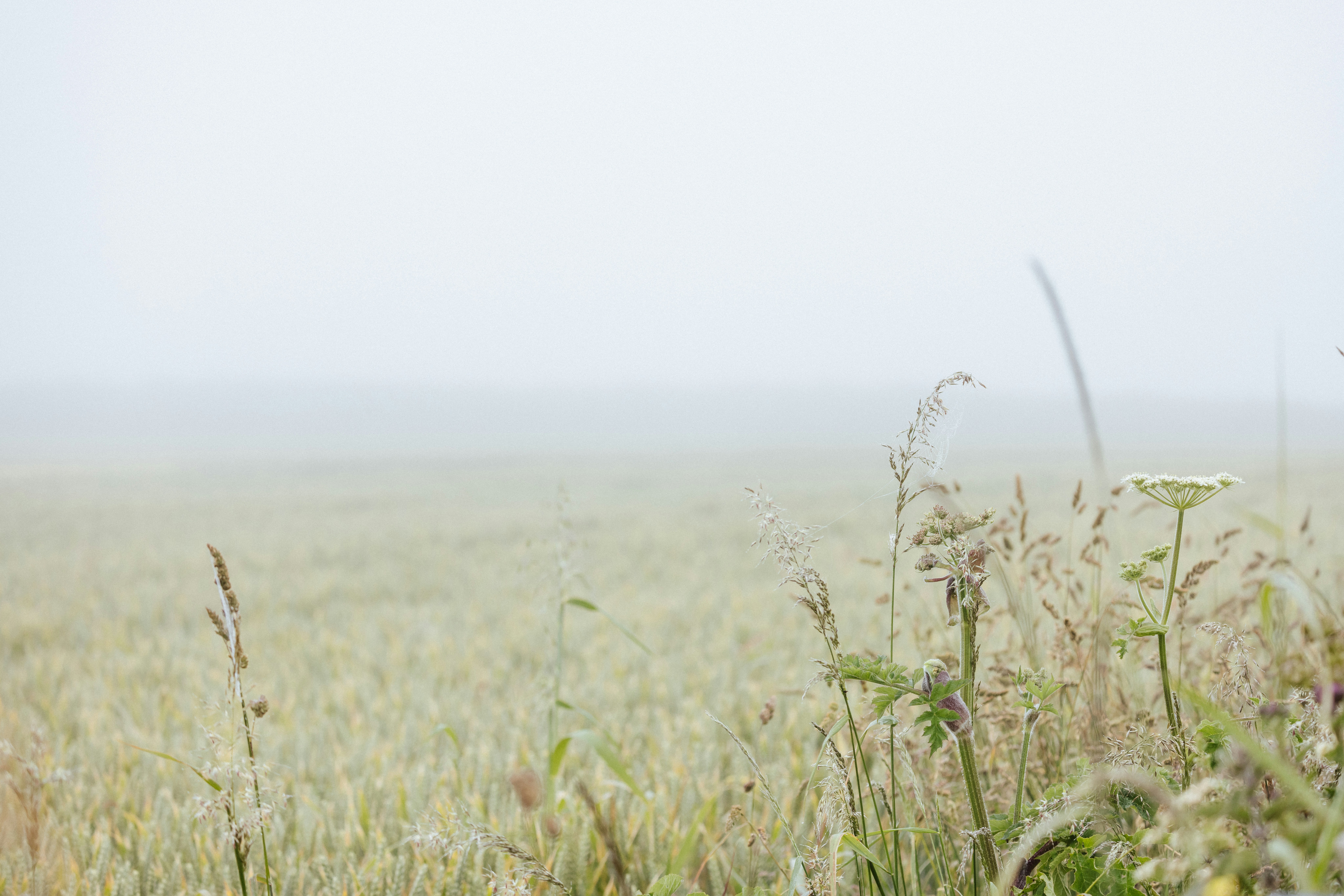 Photo by anniespratt