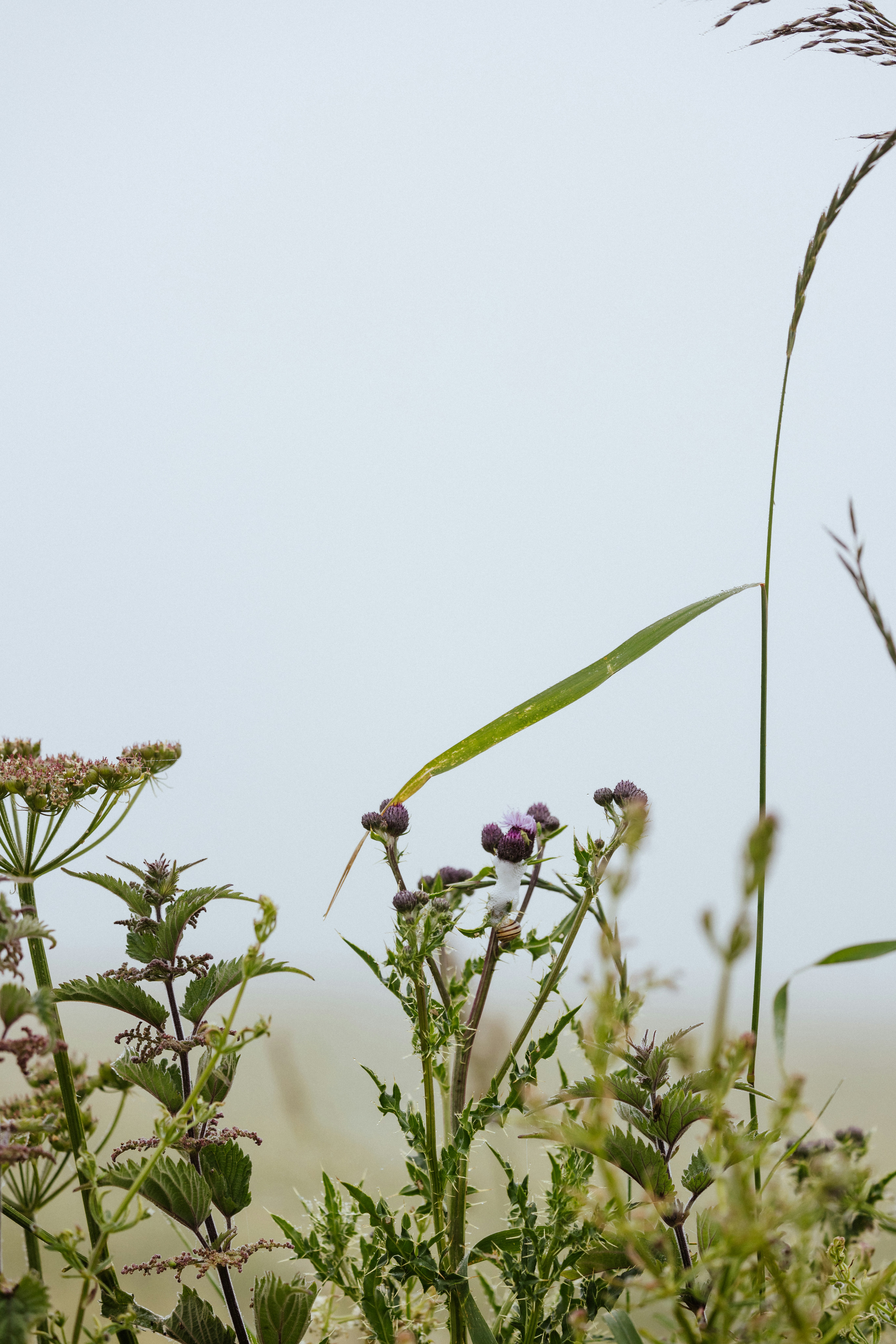 Photo by anniespratt