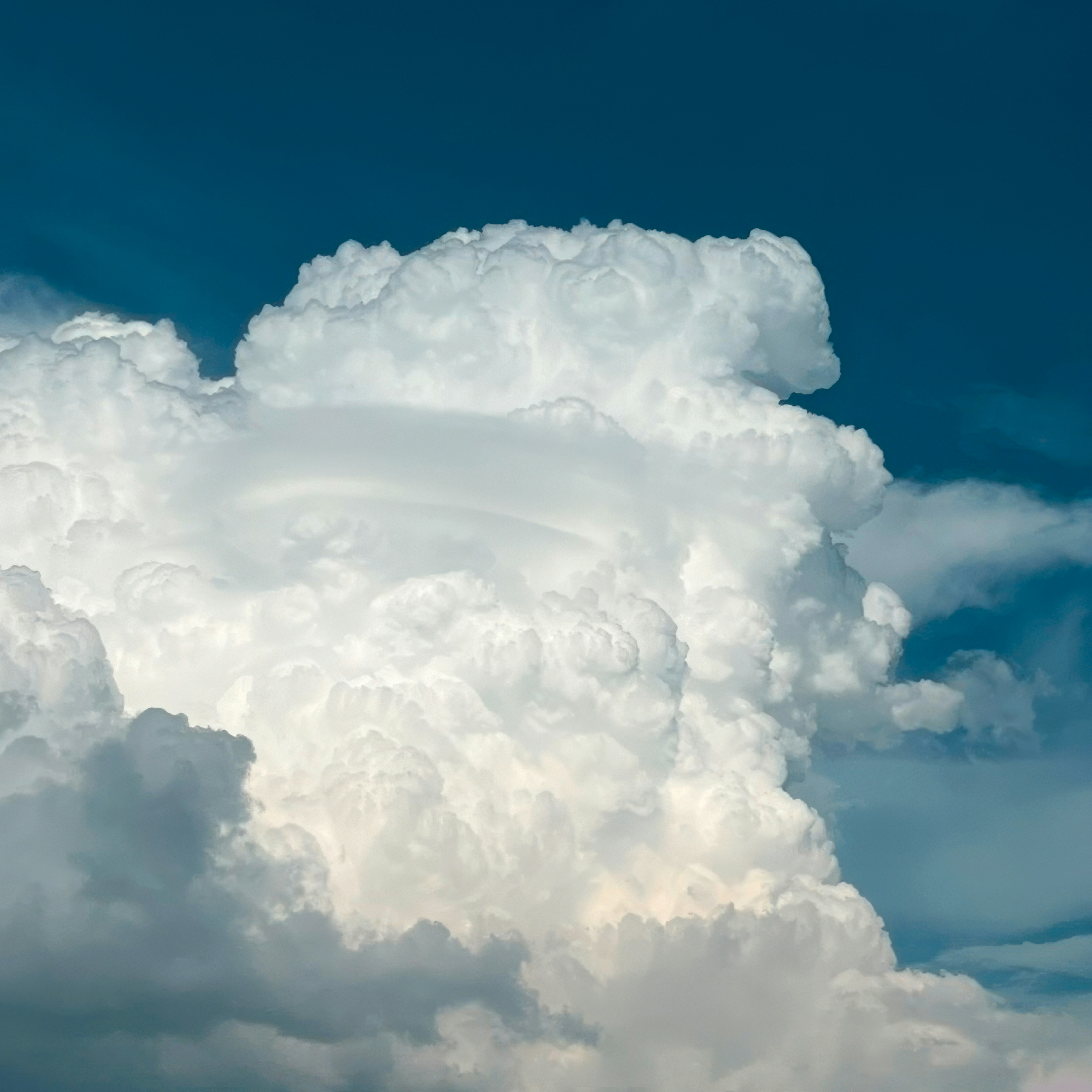 Photo by vladimir_223