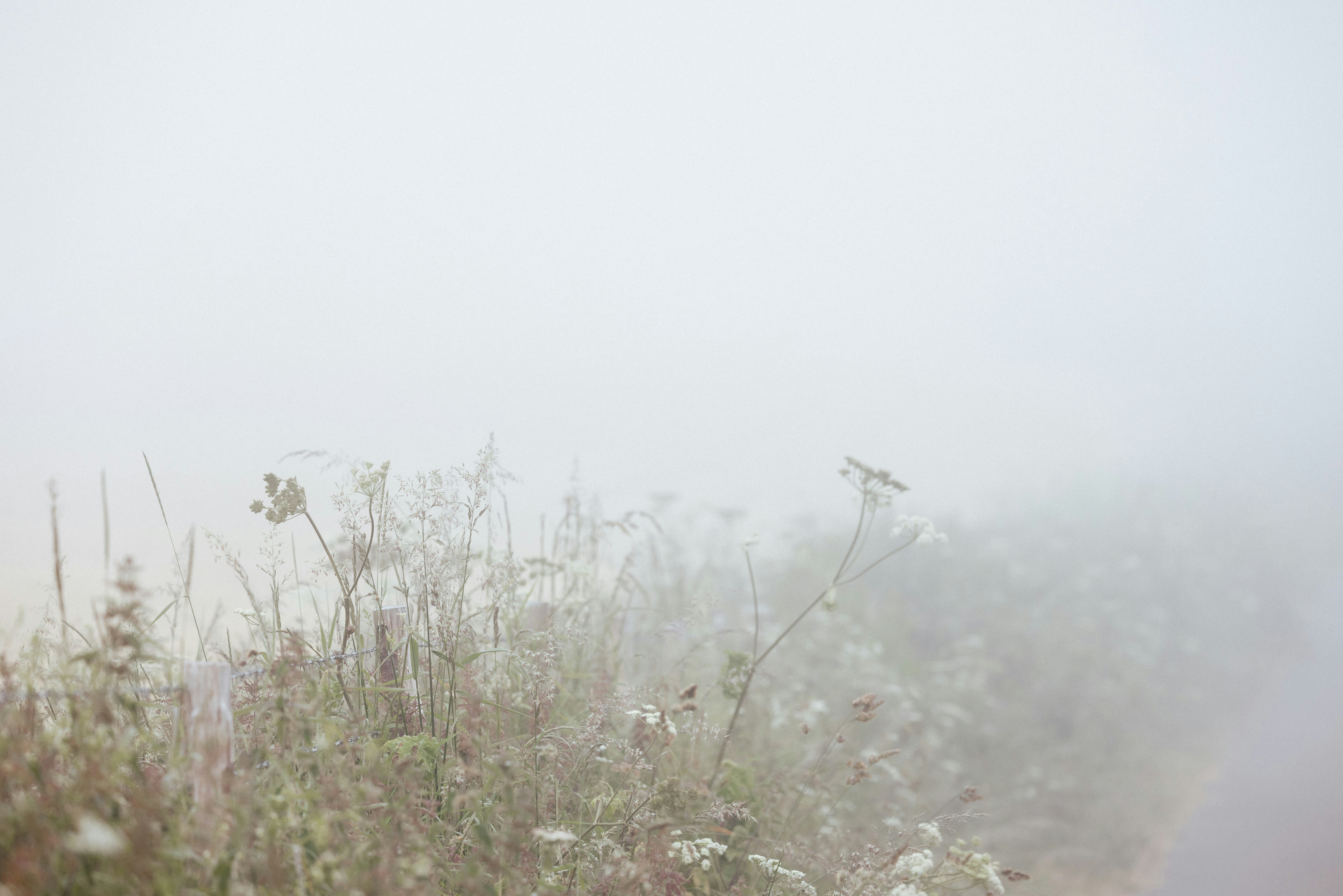 Photo by anniespratt