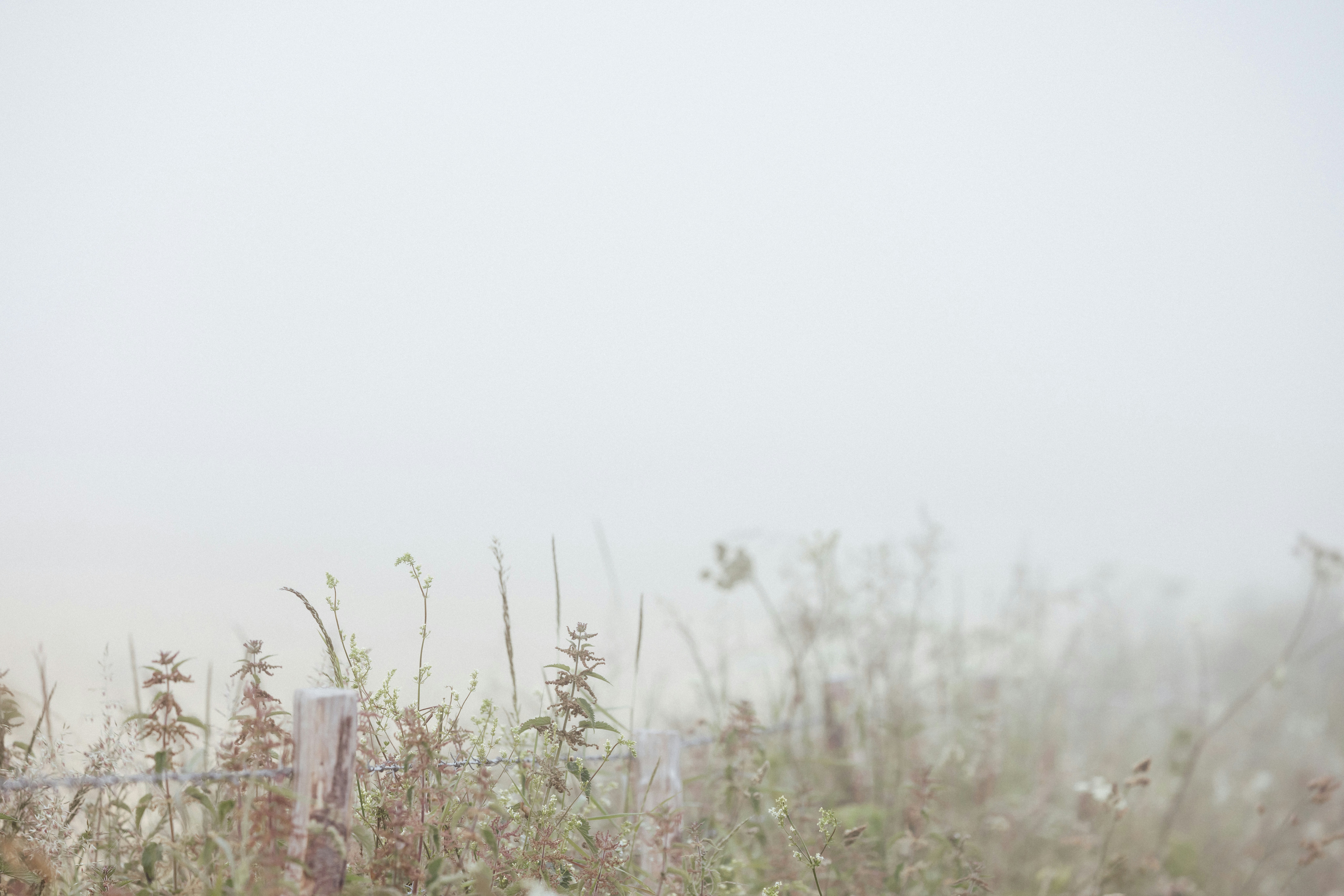 Photo by anniespratt