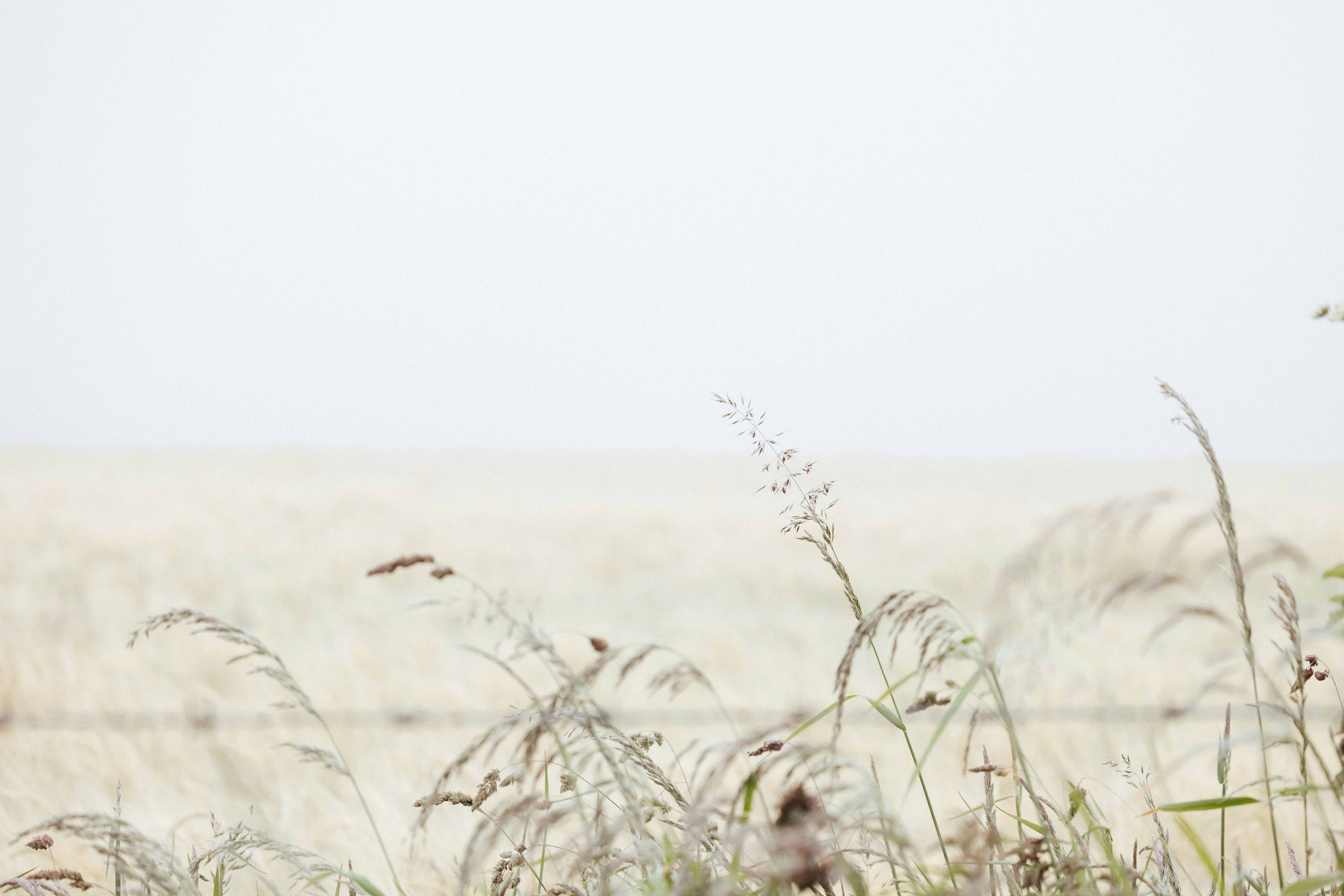 Photo by anniespratt